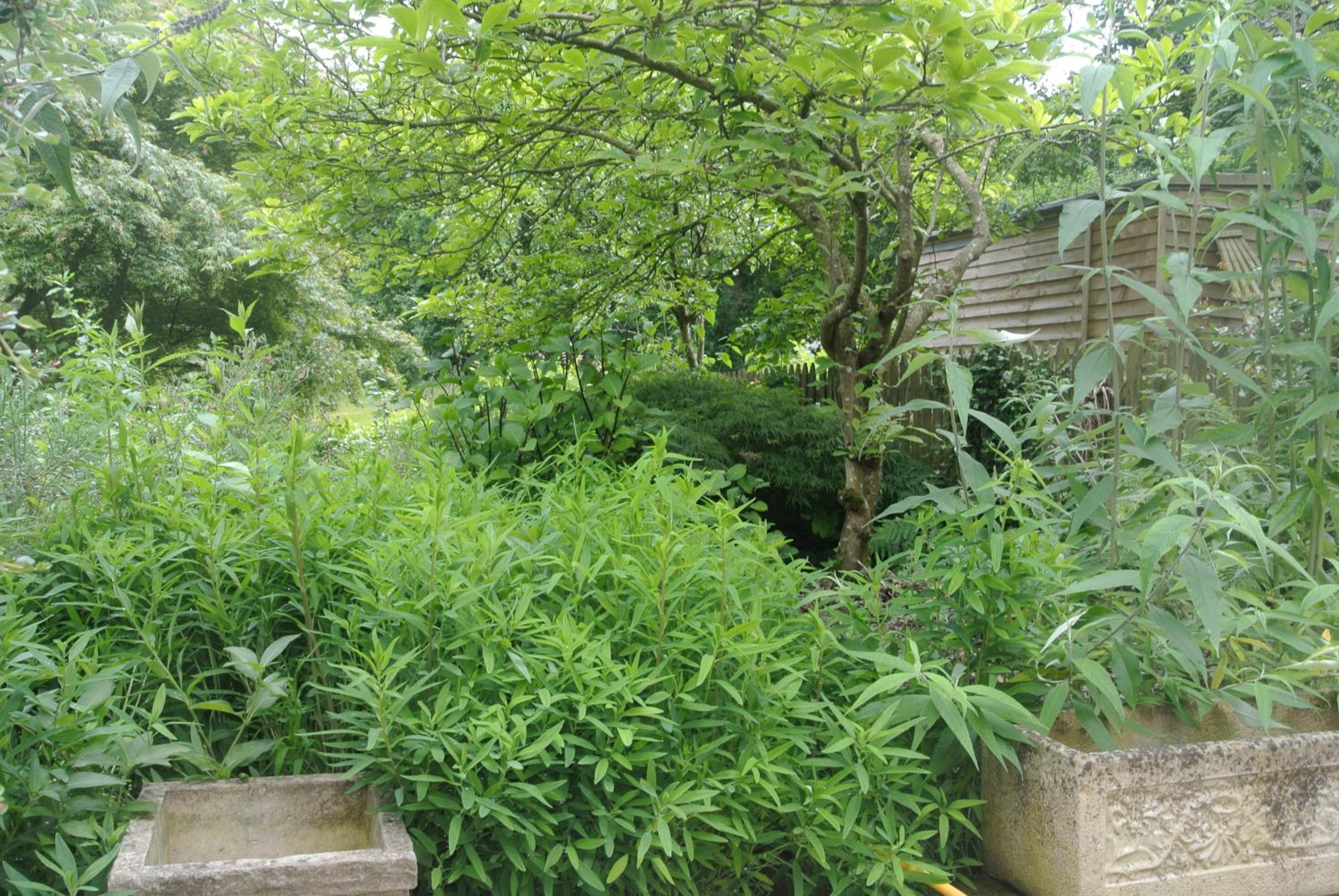 Photo 12
