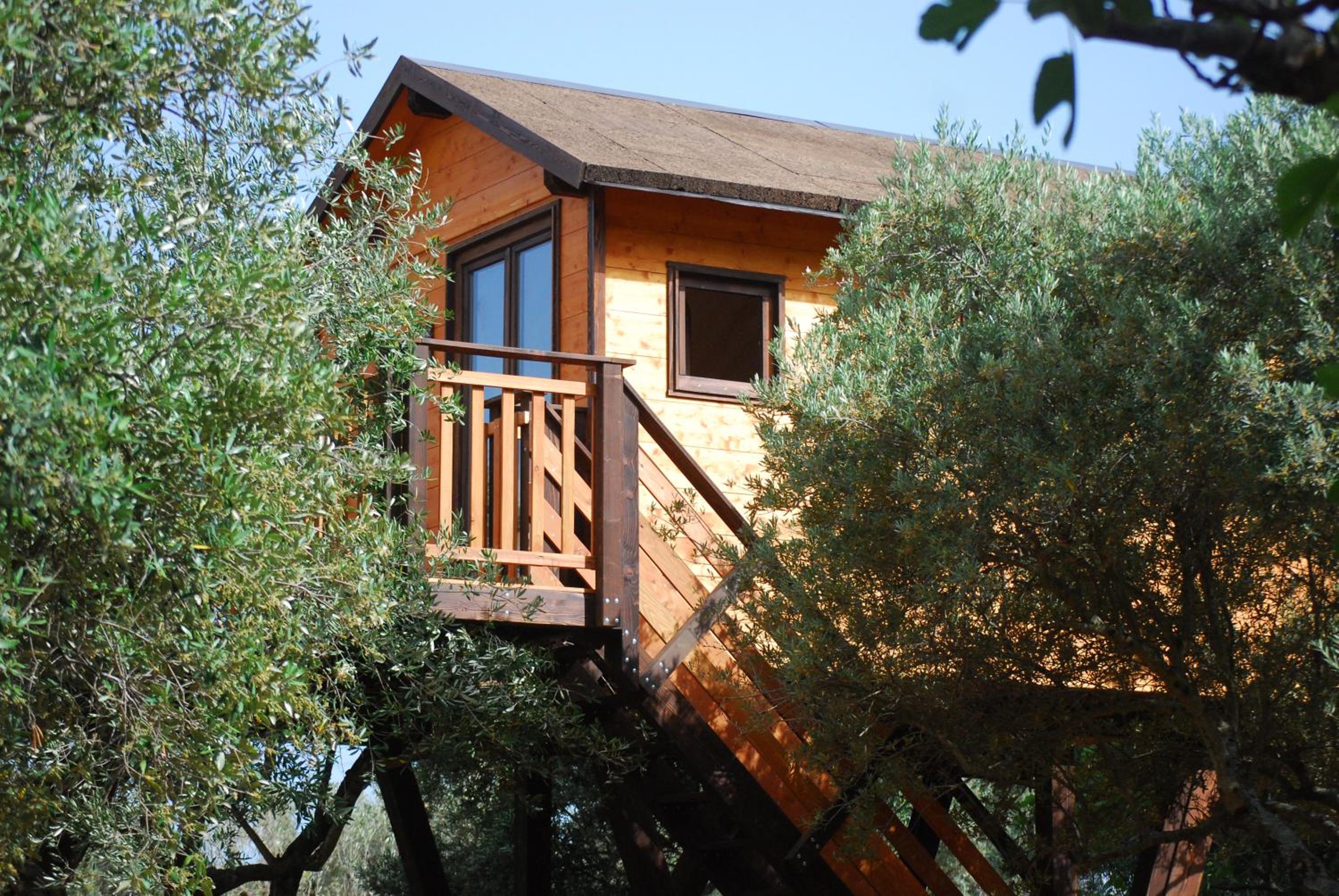Palazzo Conforti Tree House Resort