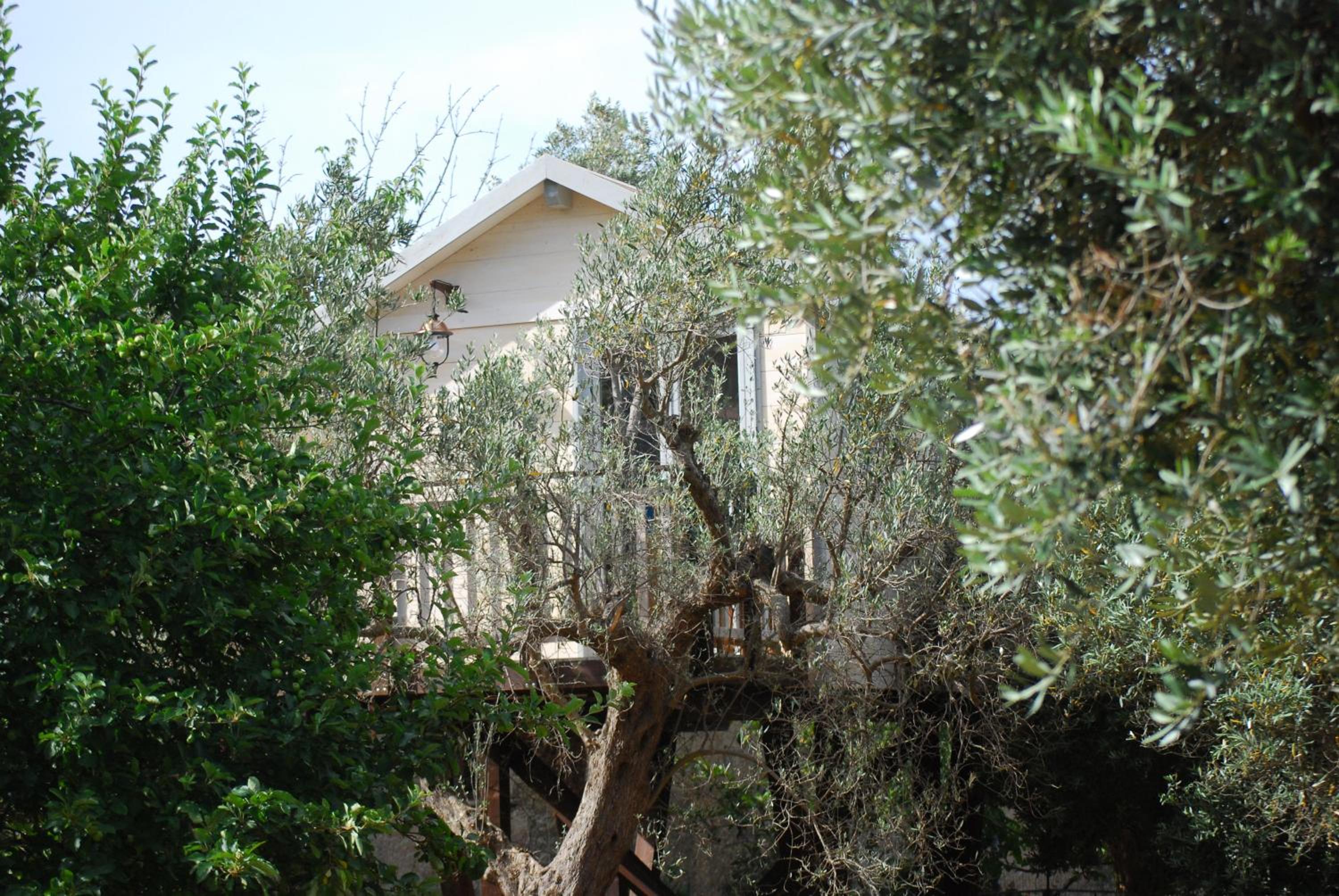 Photo 46