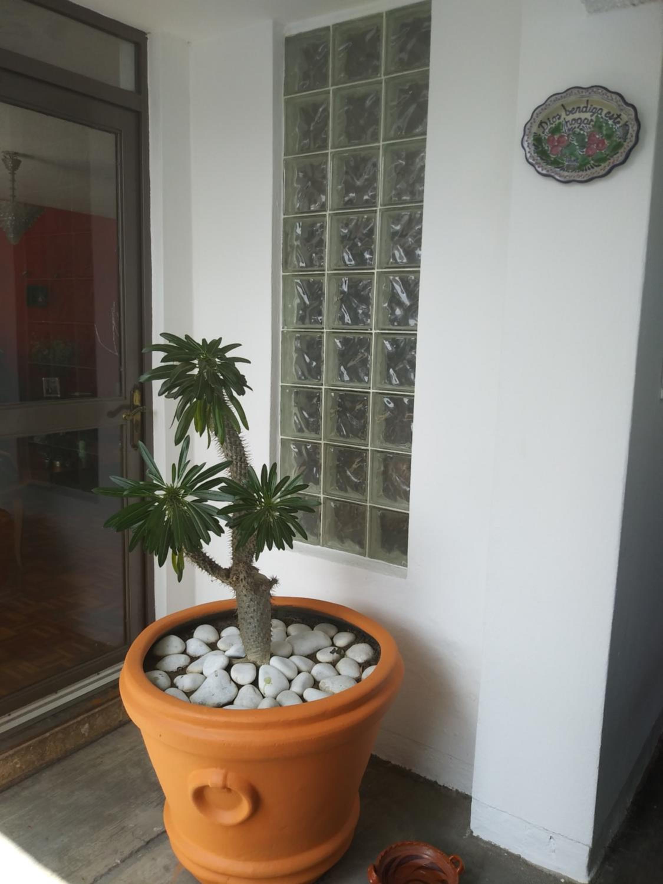 Colibrí B&B