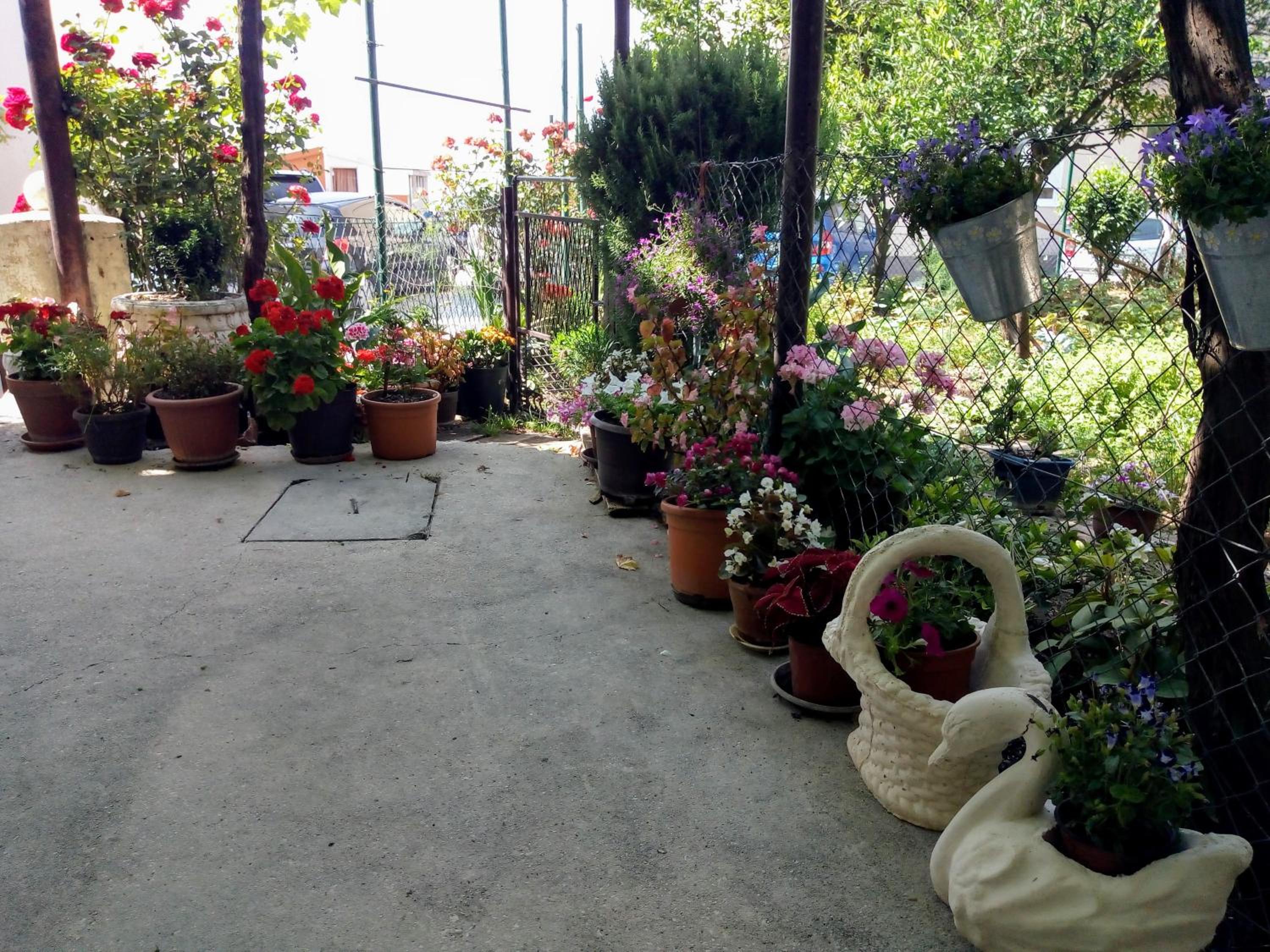Photo 16