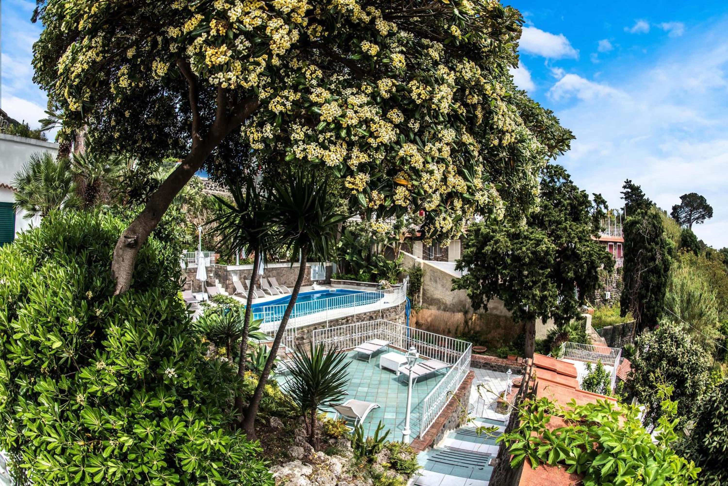 Ischia Dream Visions