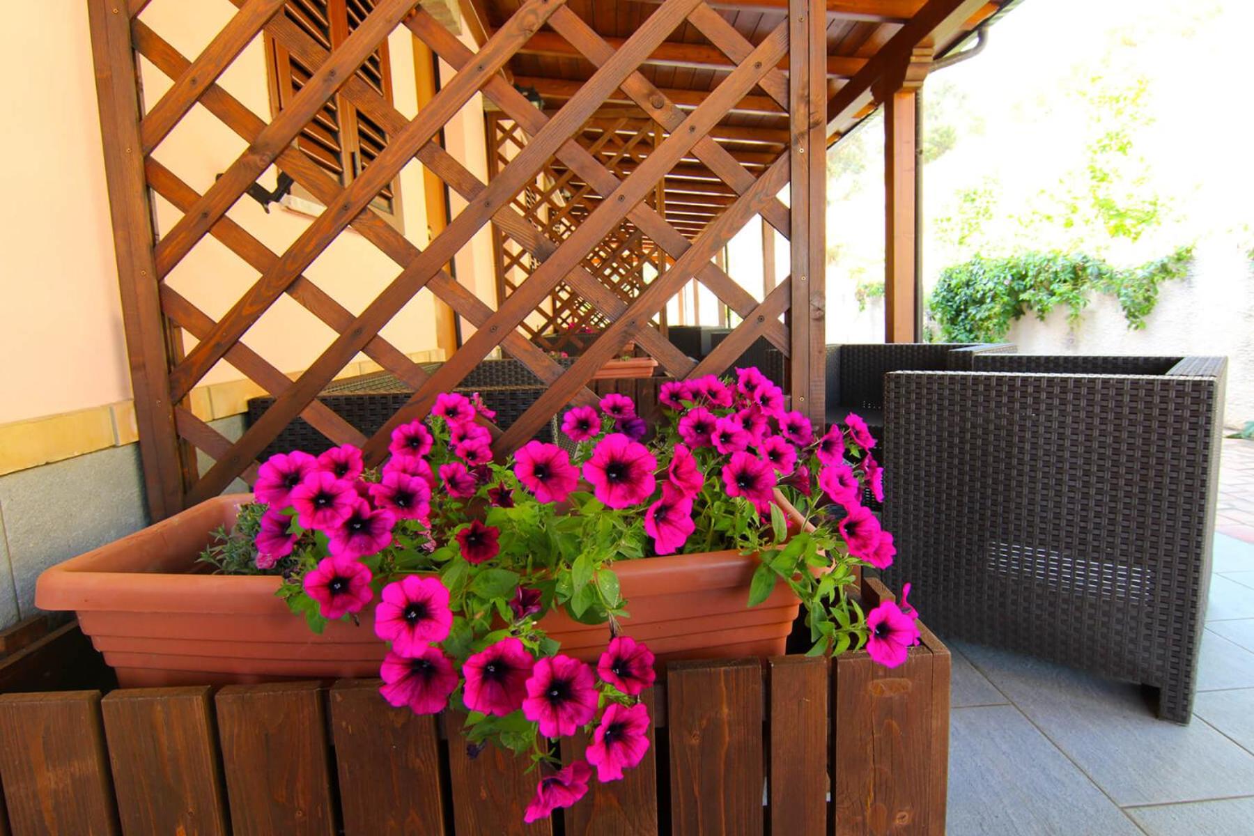 Agriturismo Vulcano