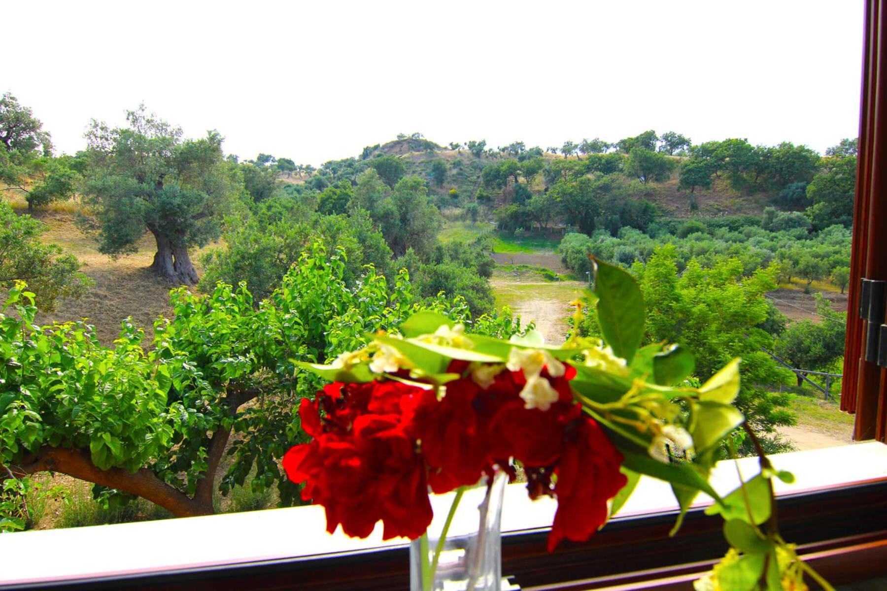 Agriturismo Vulcano