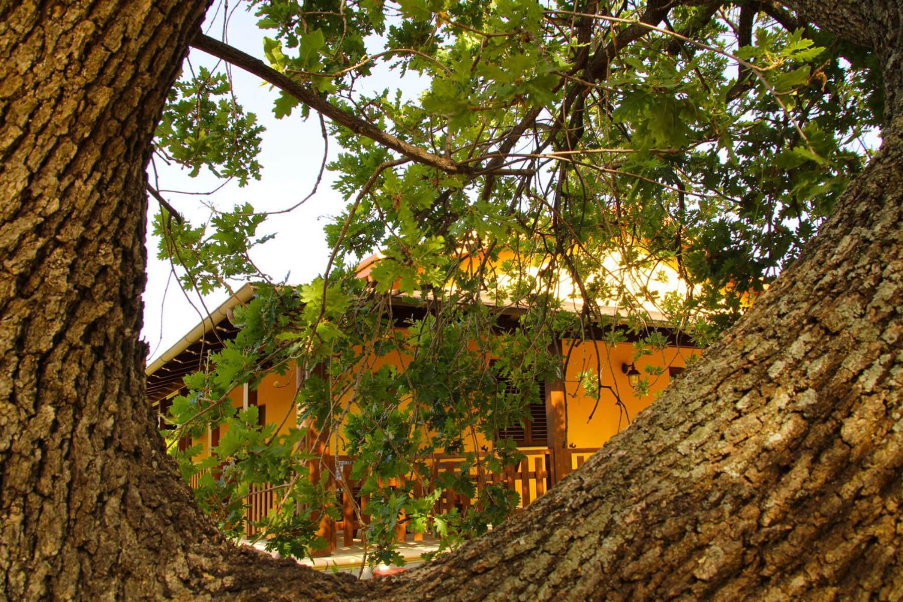 Agriturismo Vulcano