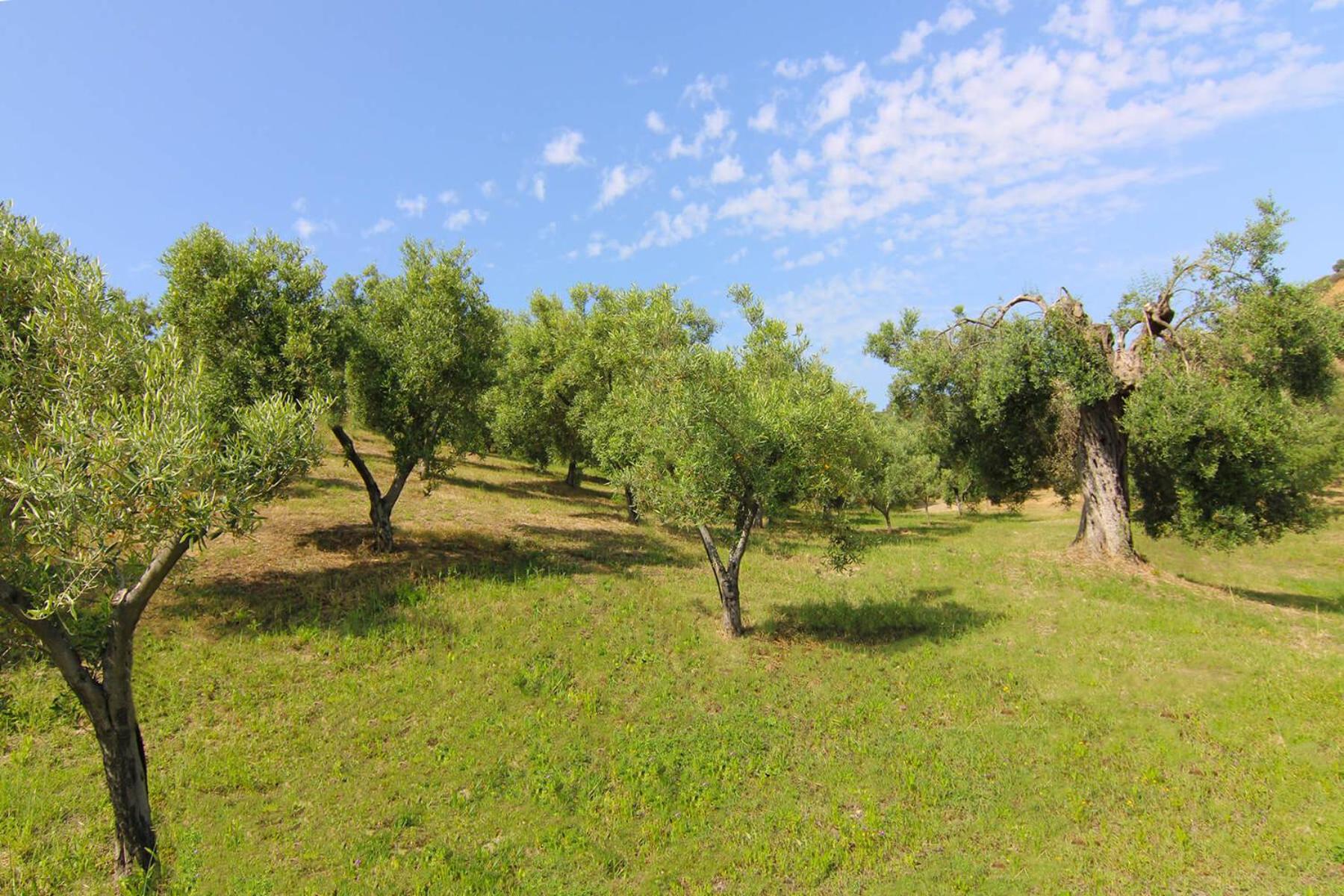 Agriturismo Vulcano