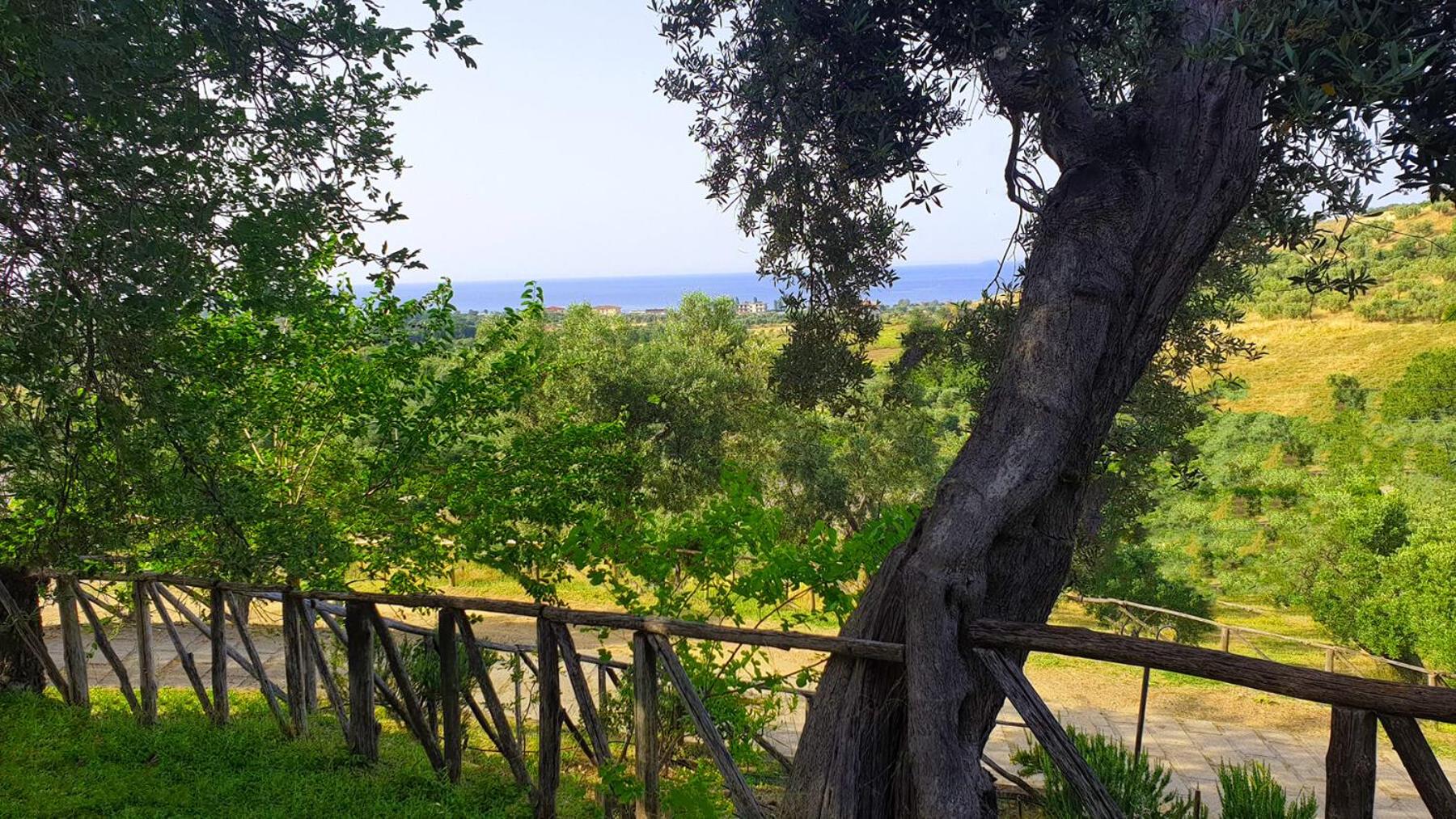 Agriturismo Vulcano