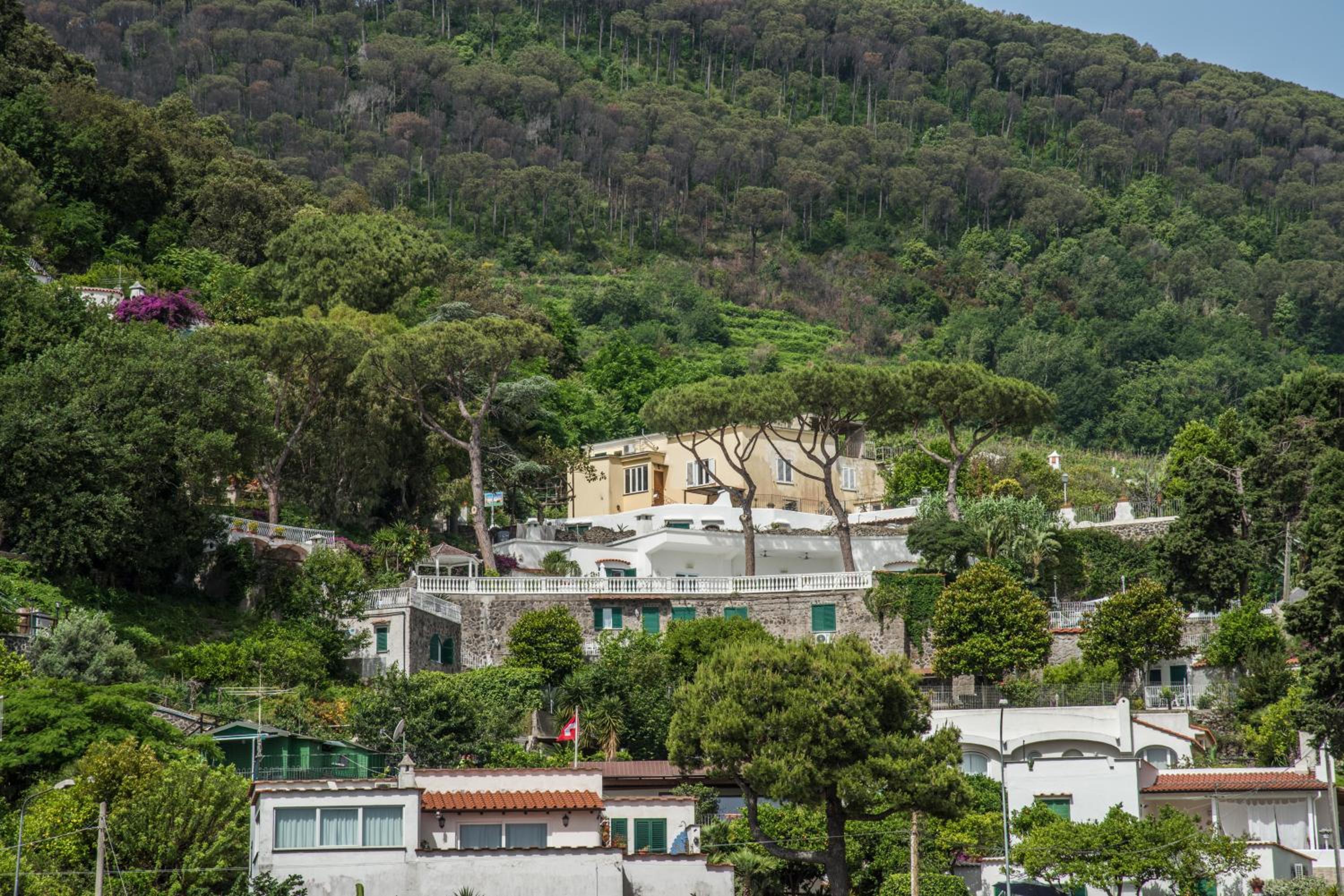 Ischia Dream Visions