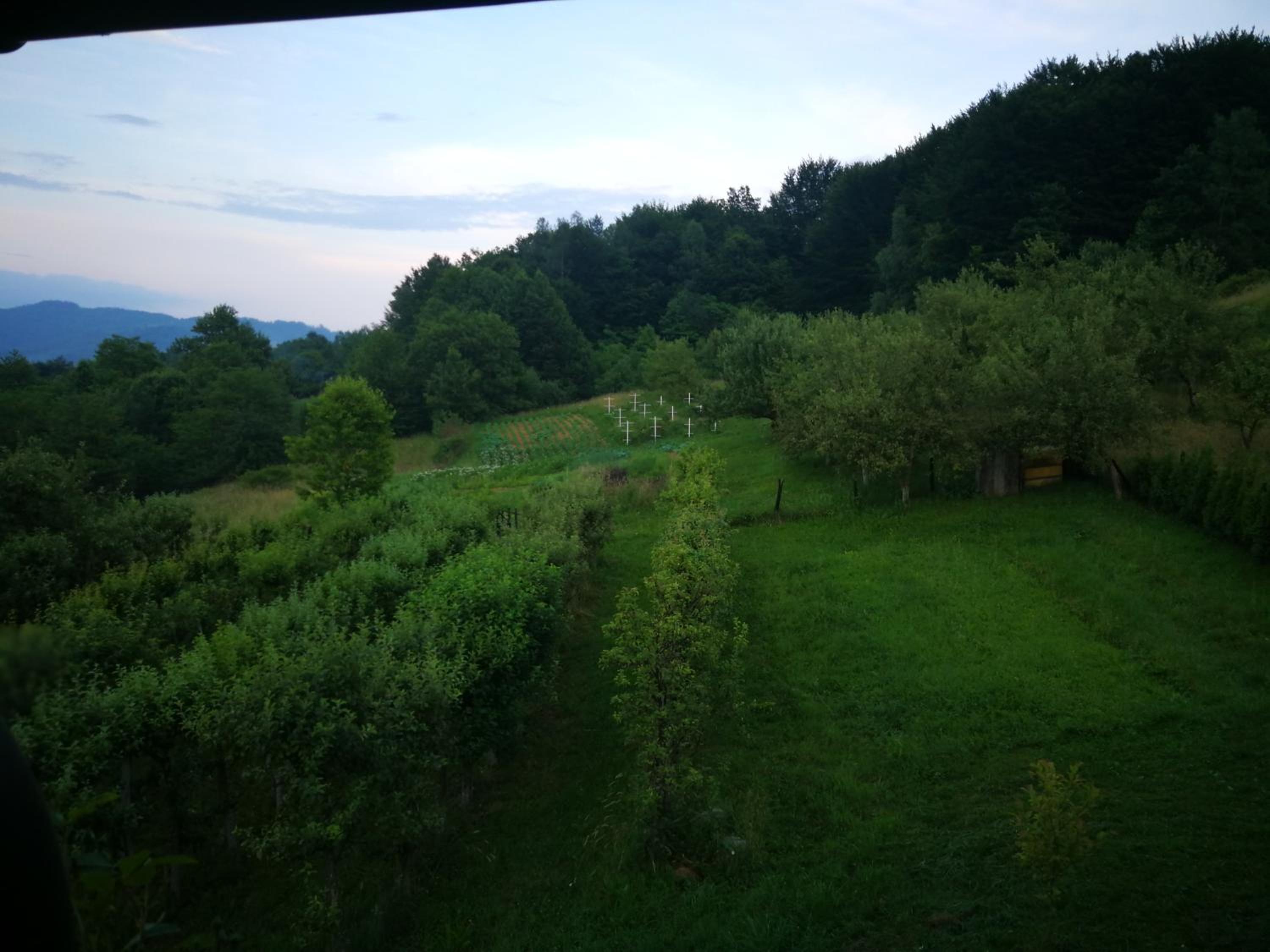 Green Idylle -Pyramid View
