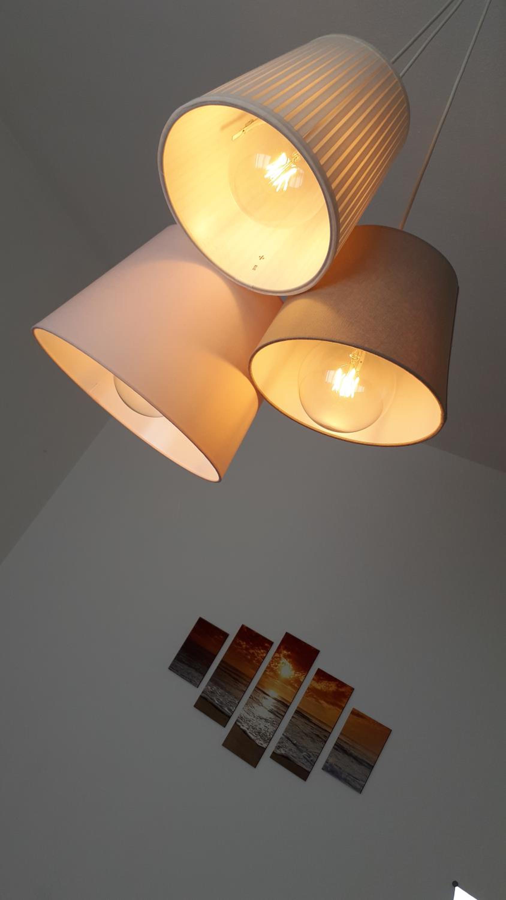 Luce