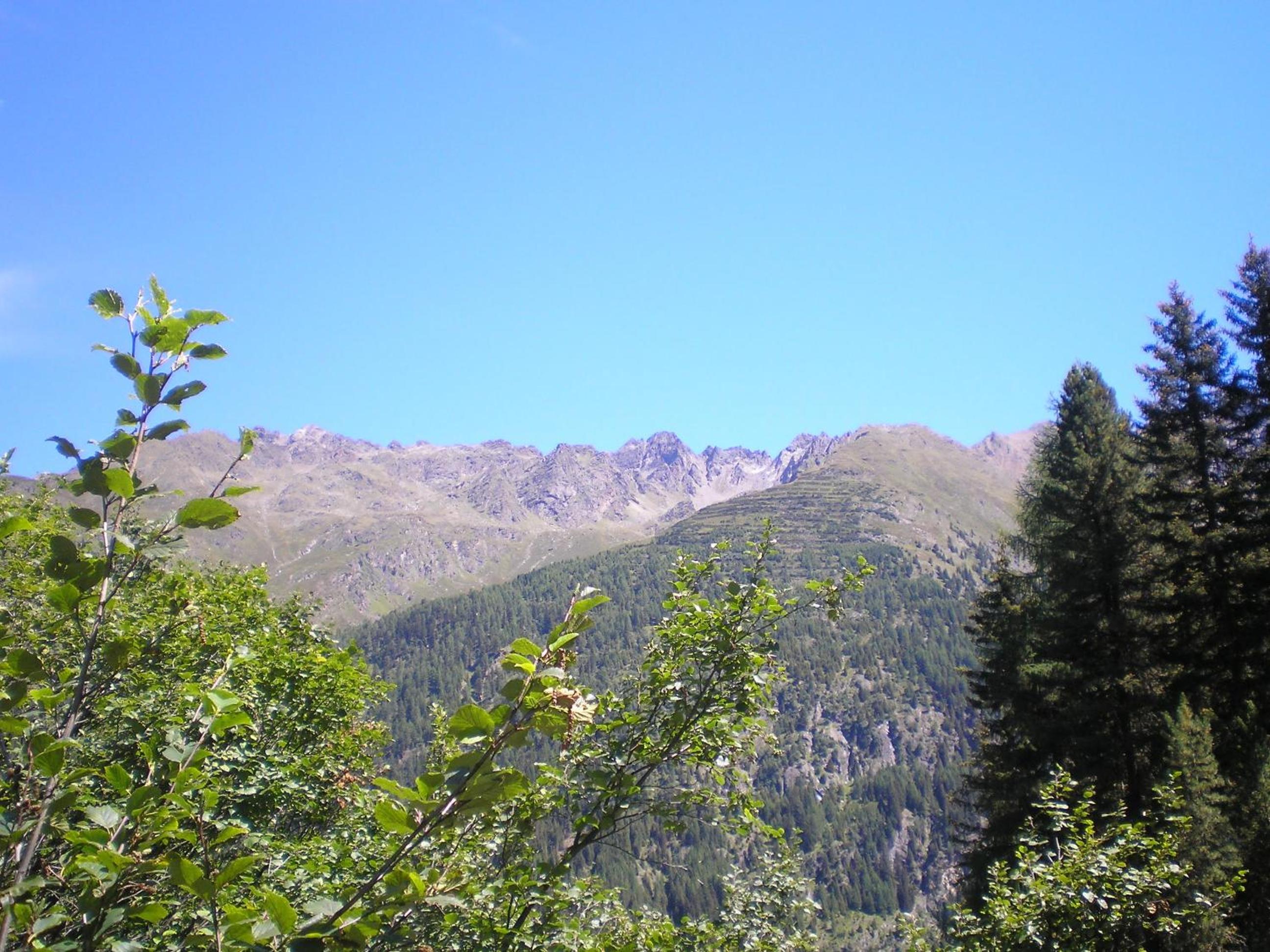 Photo 46
