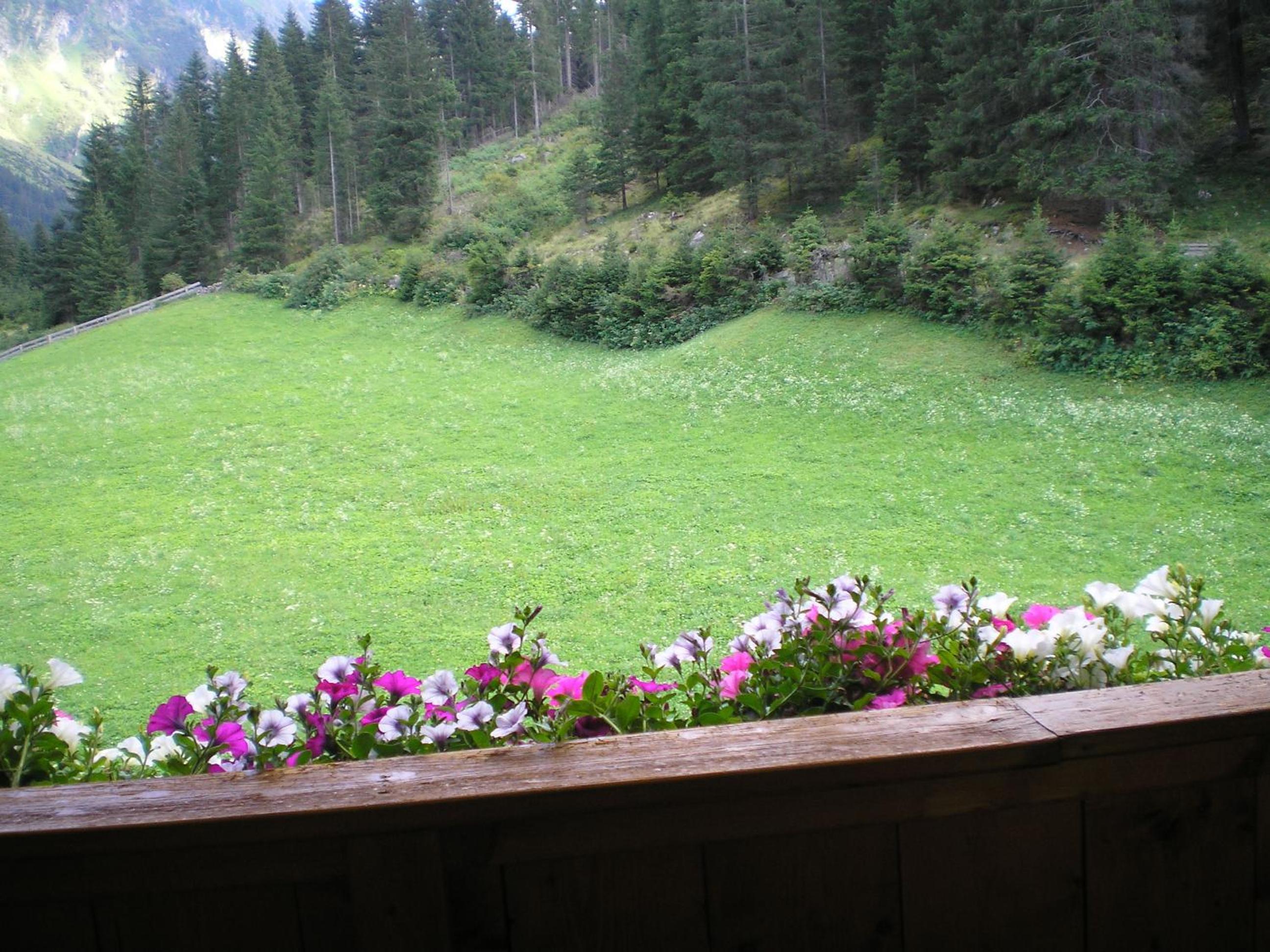 Haus Bödele view 4