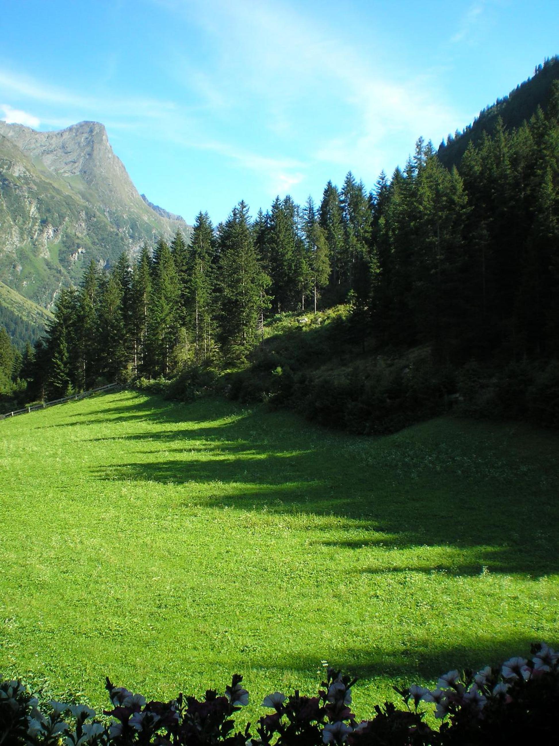 Photo 45