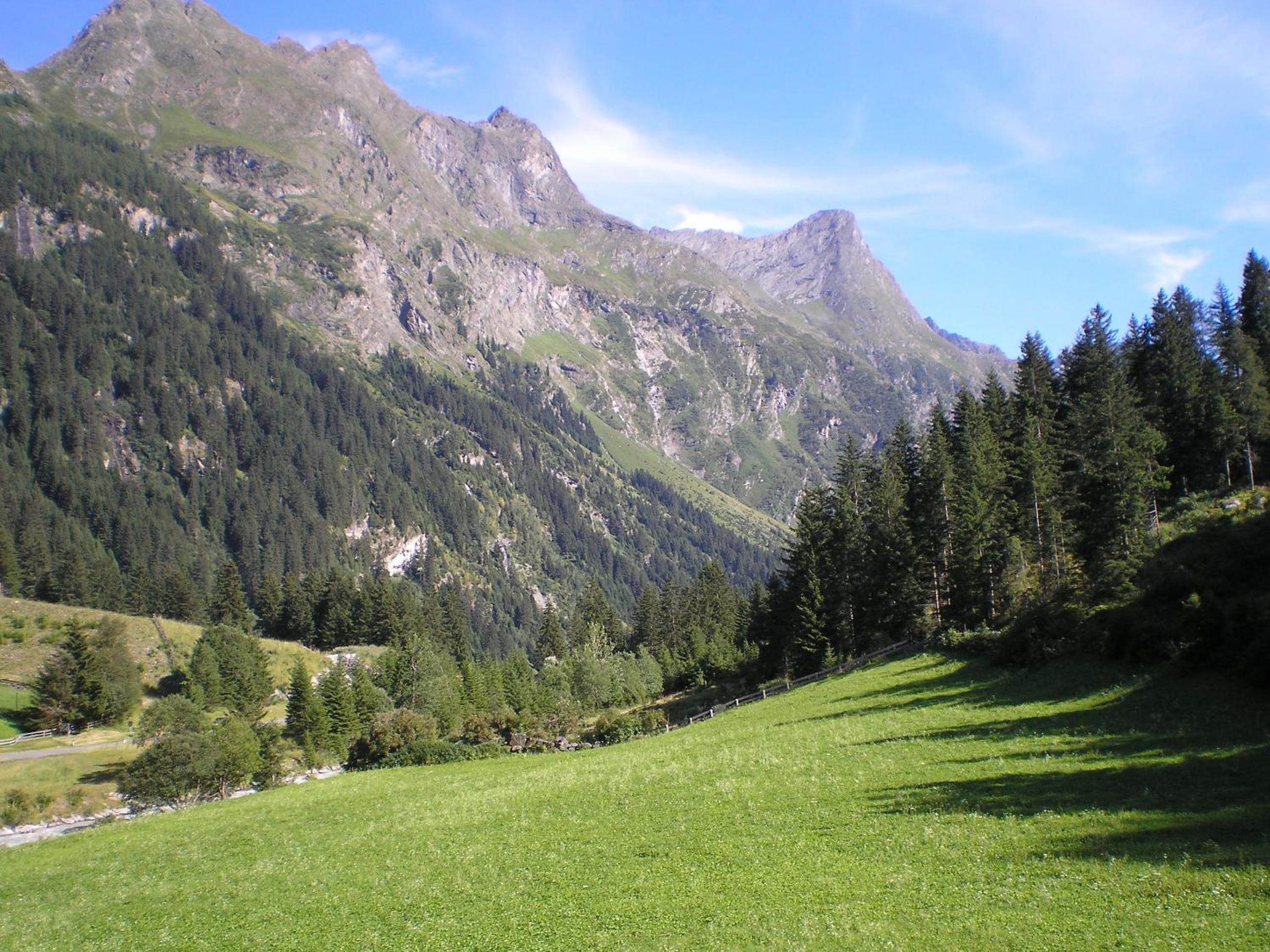 Photo 47