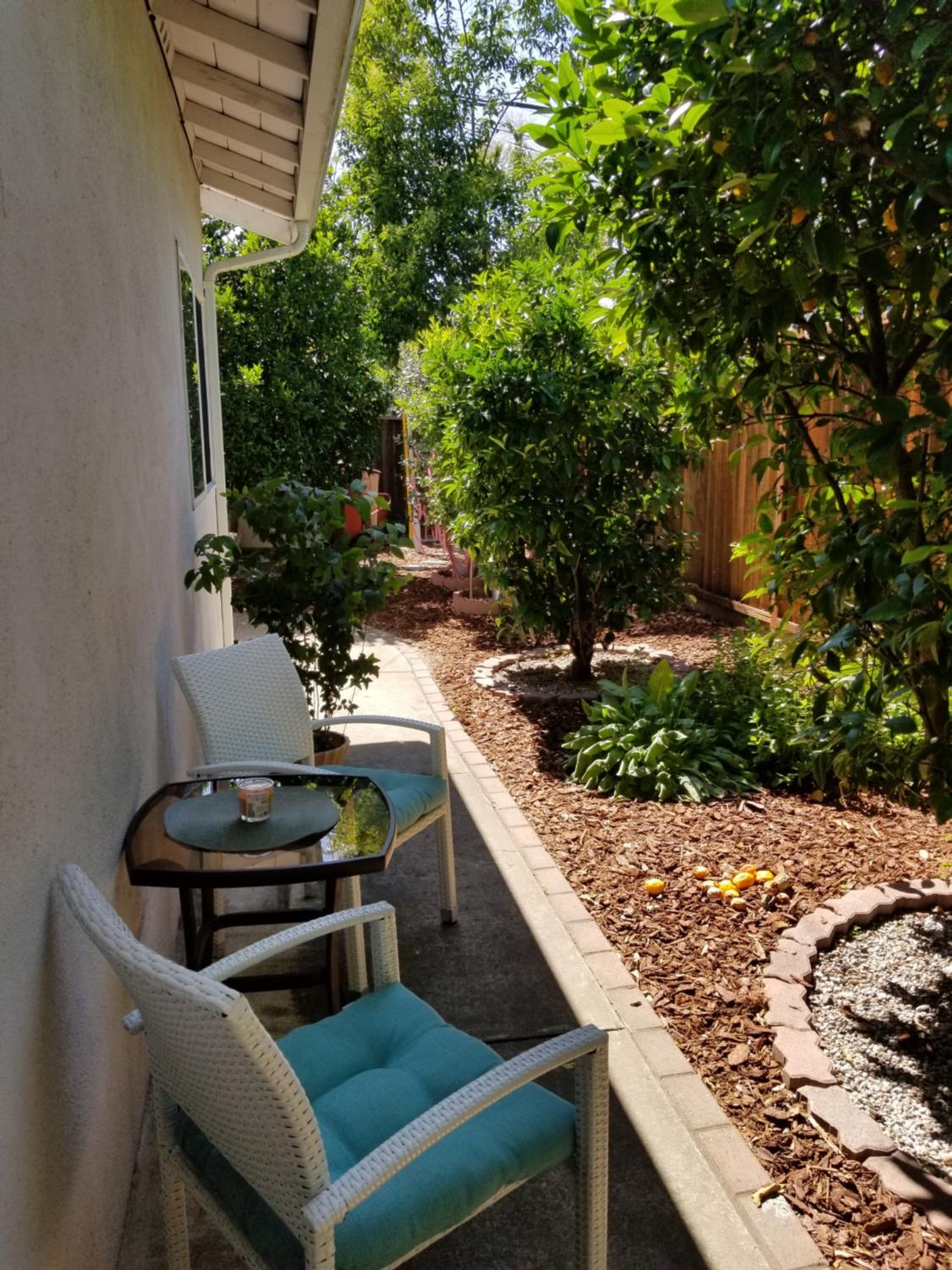 Hotel Luxury 2br/1ba Oasis In San Jose Ca