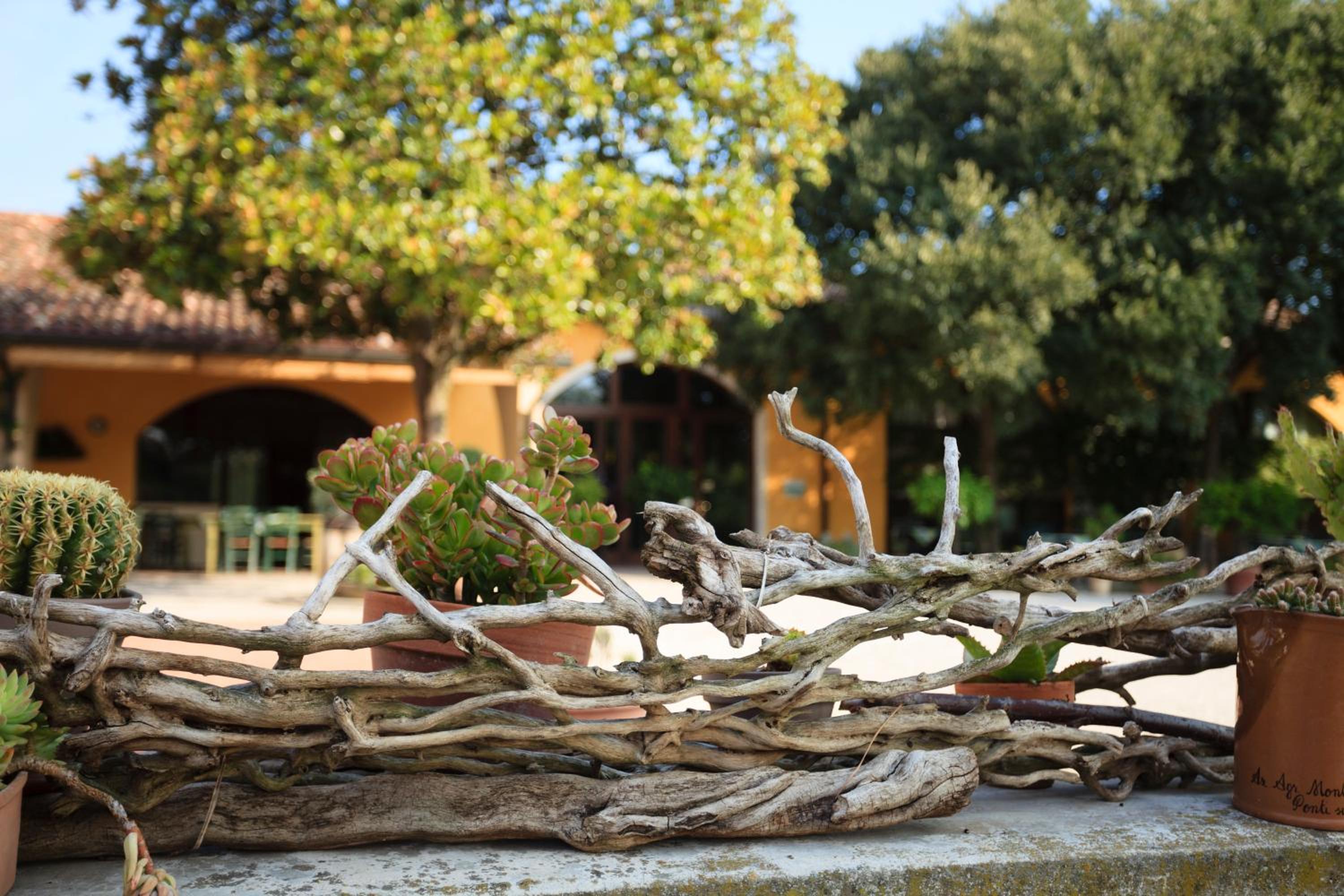 Agriturismo La Montina view 5