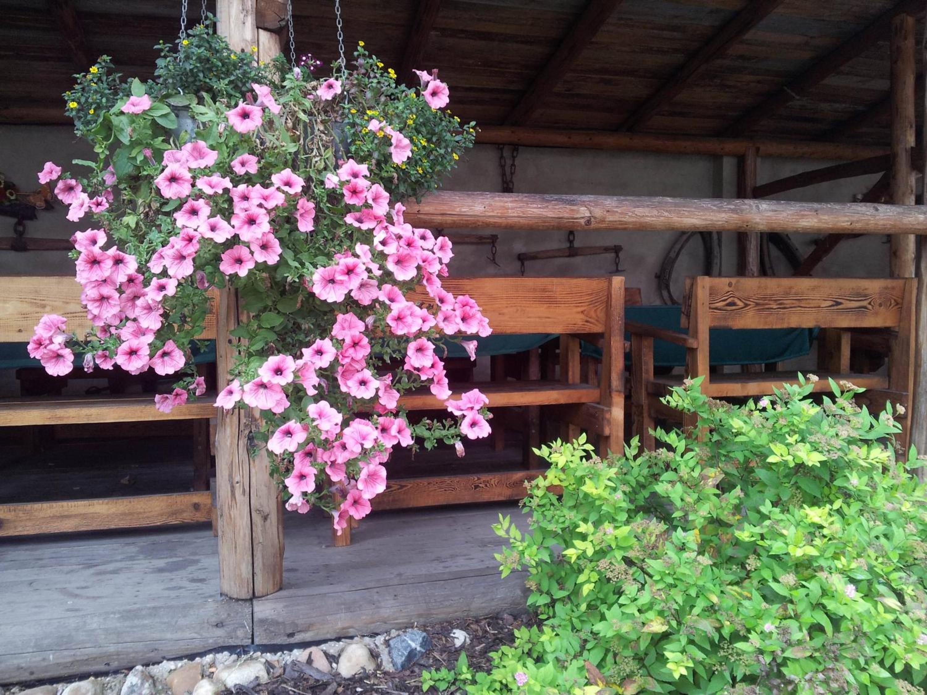 Penzion Piano Ranch