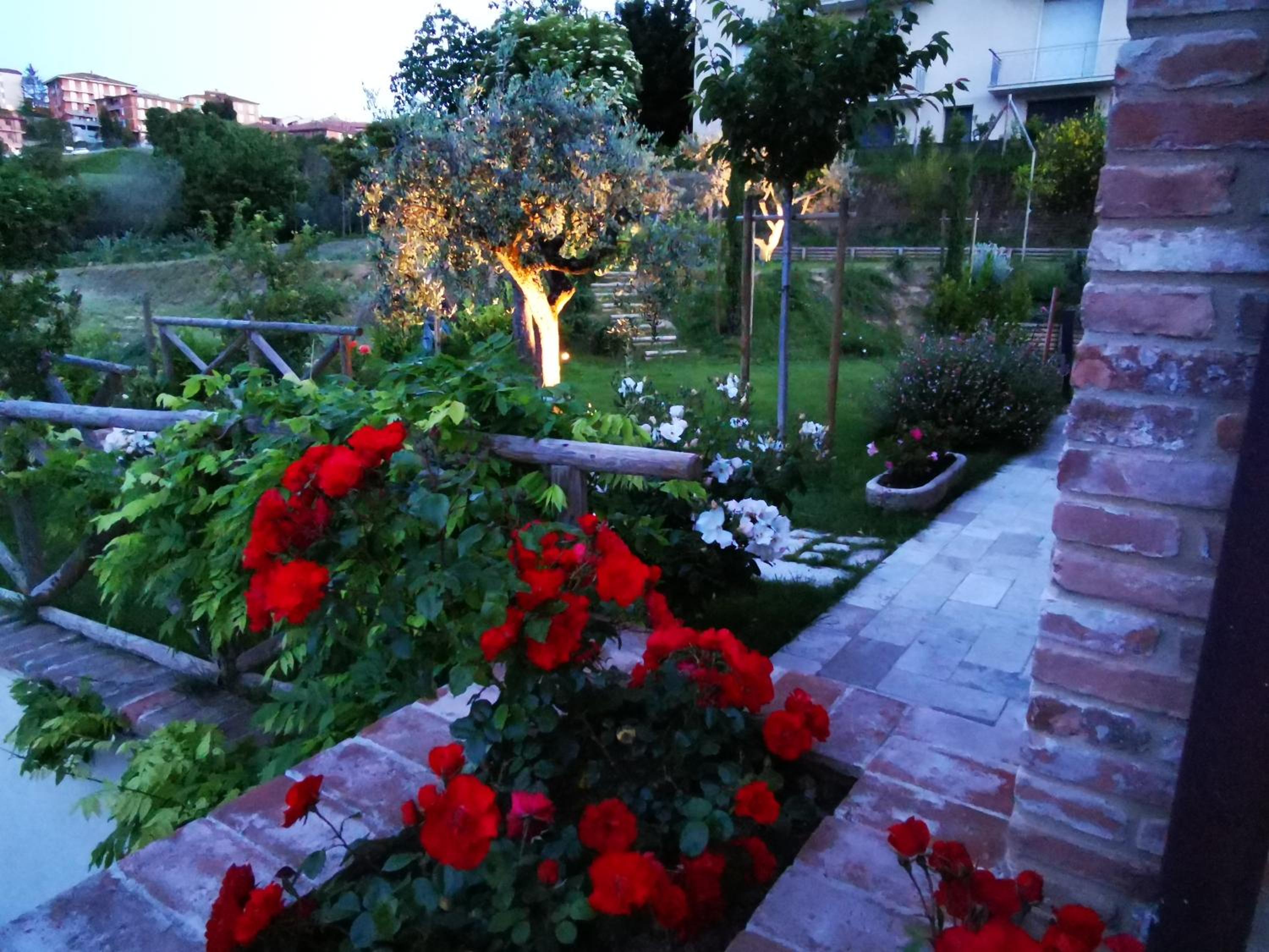 Photo 7
