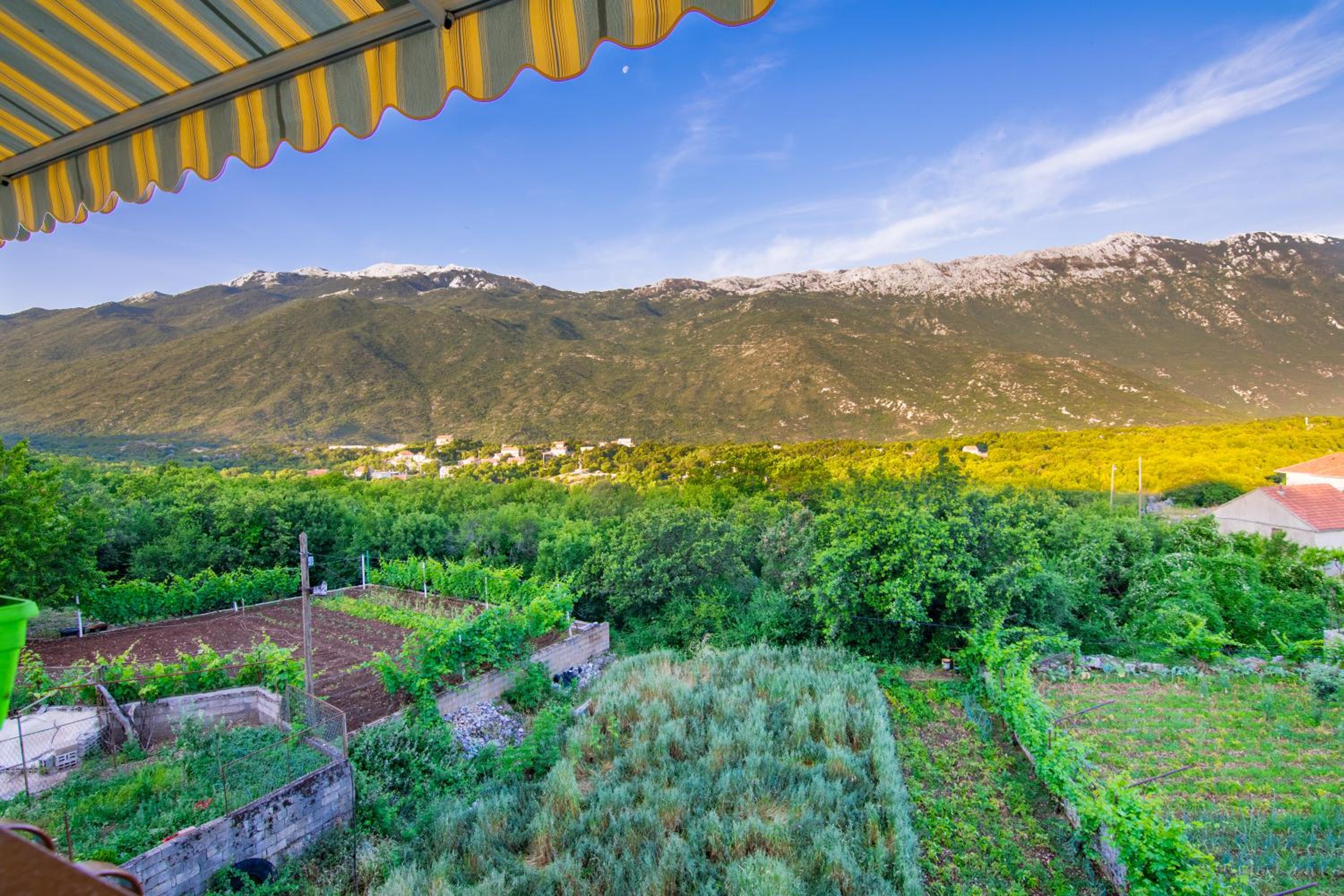 Apartman Vendi