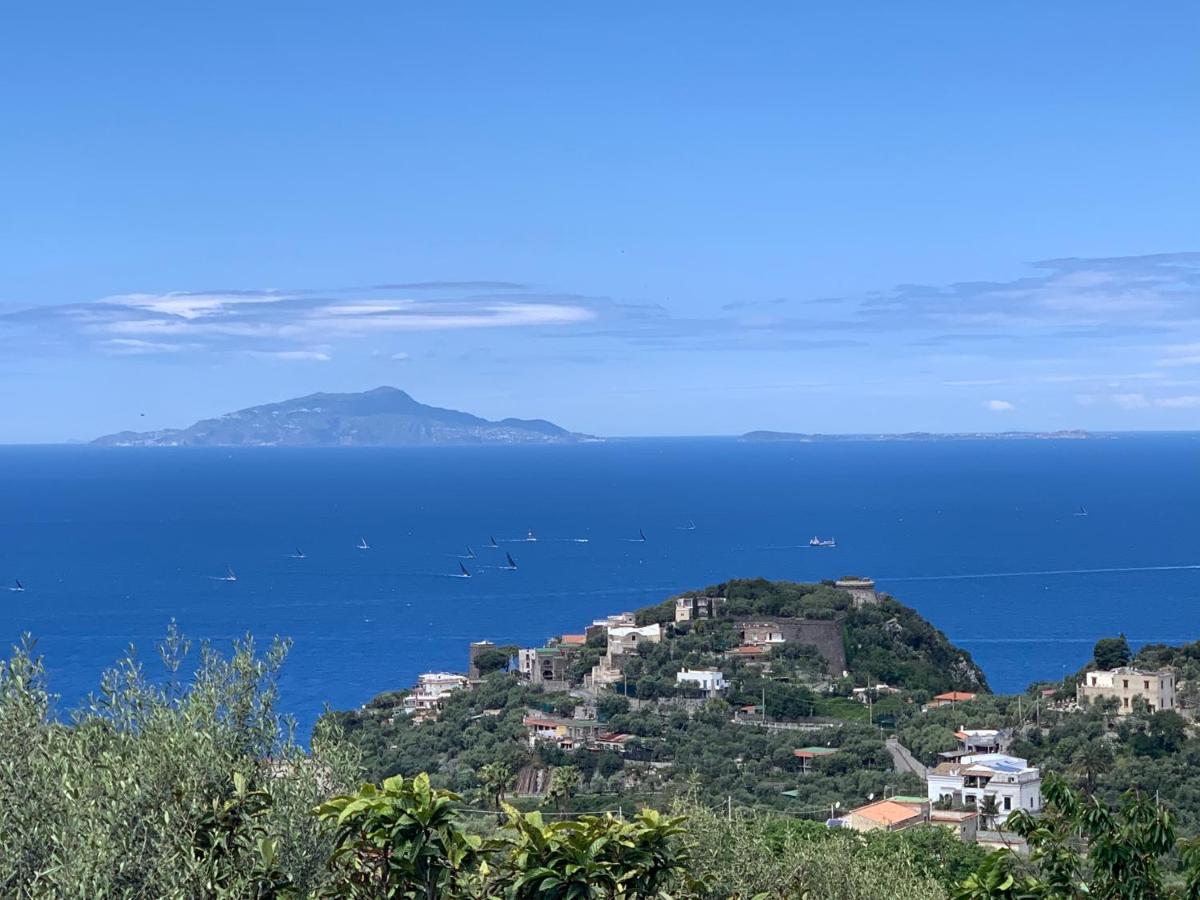 Terrazza Sul Golfo photo 2