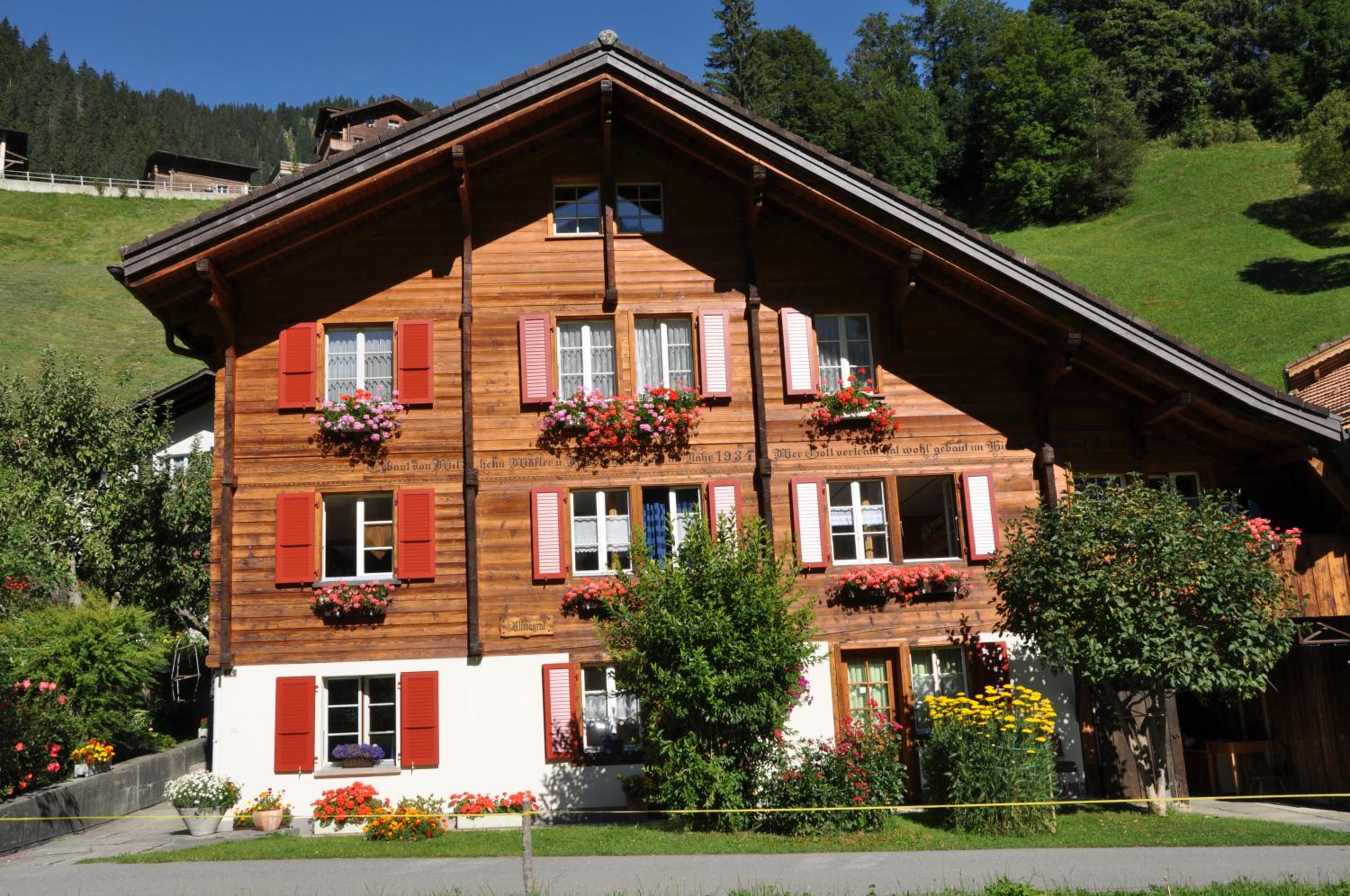 Chalet Allmegrat view 3