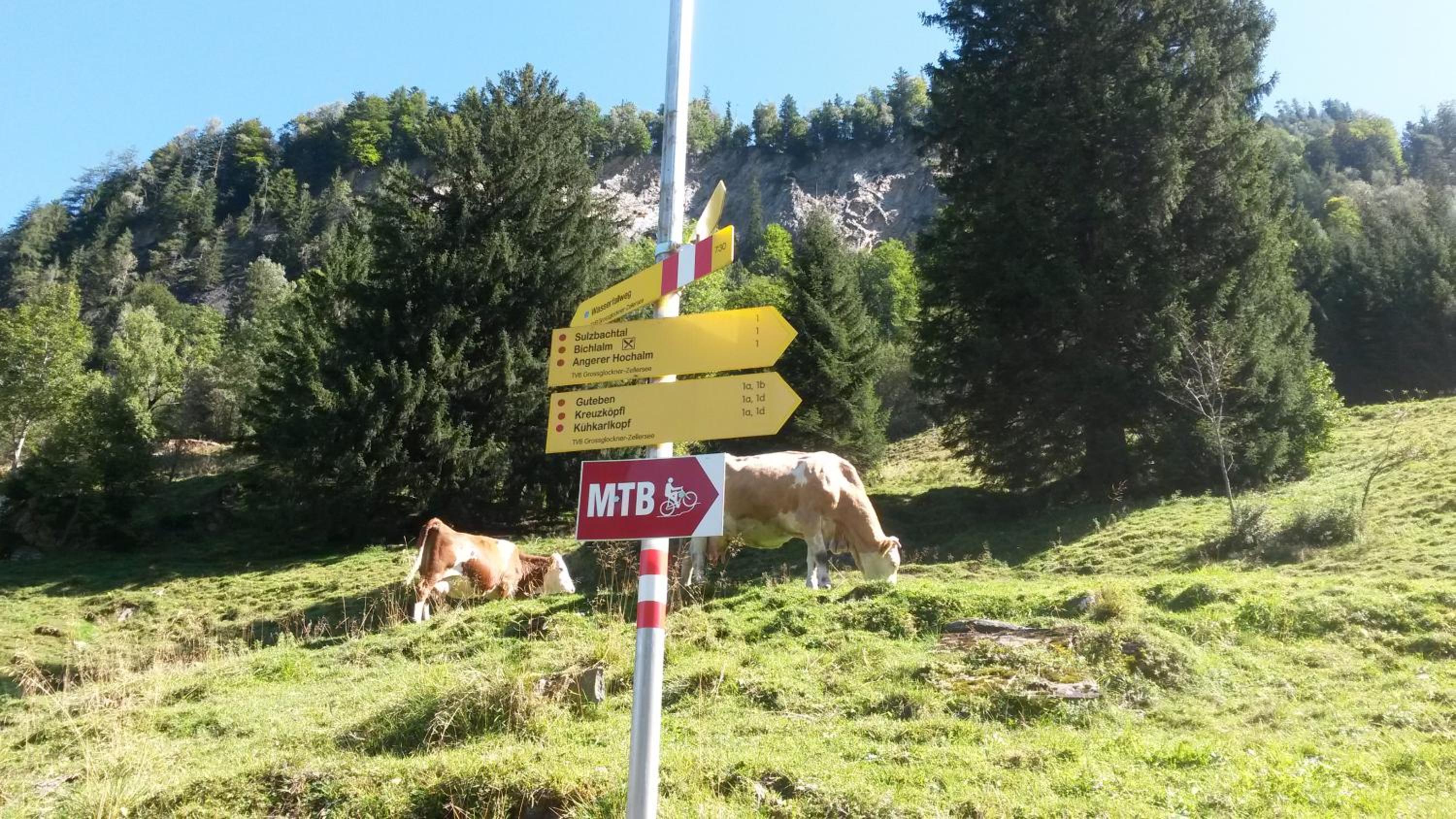 Oberreiter's Alpennest