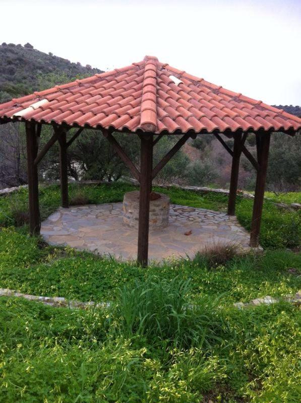 Photo 17