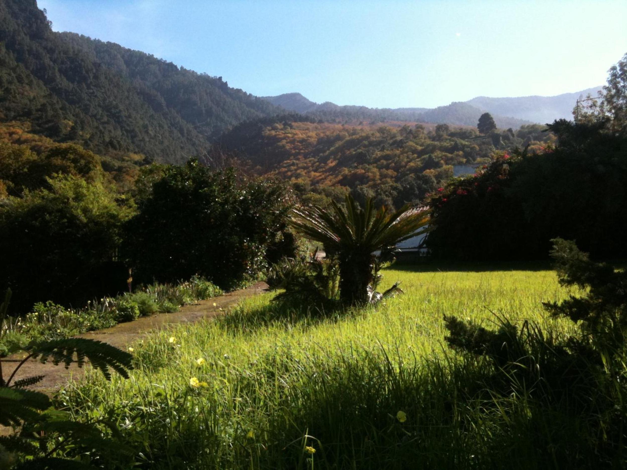 Finca La Hondura view 4