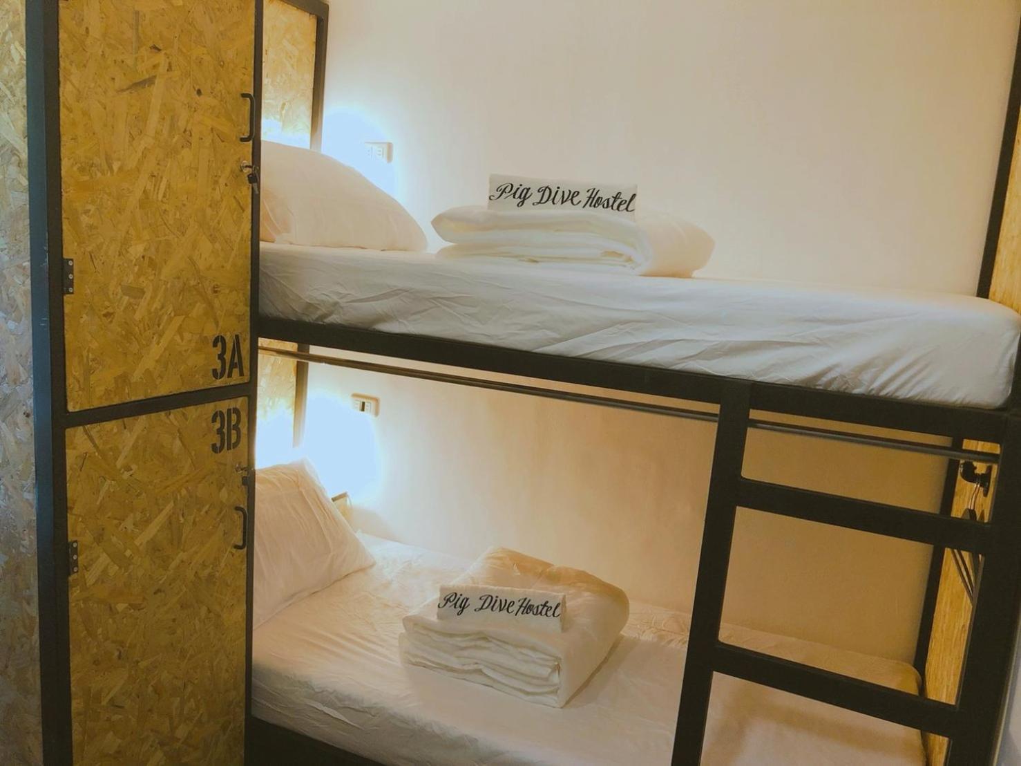 Pig Dive Hostel Moalboal