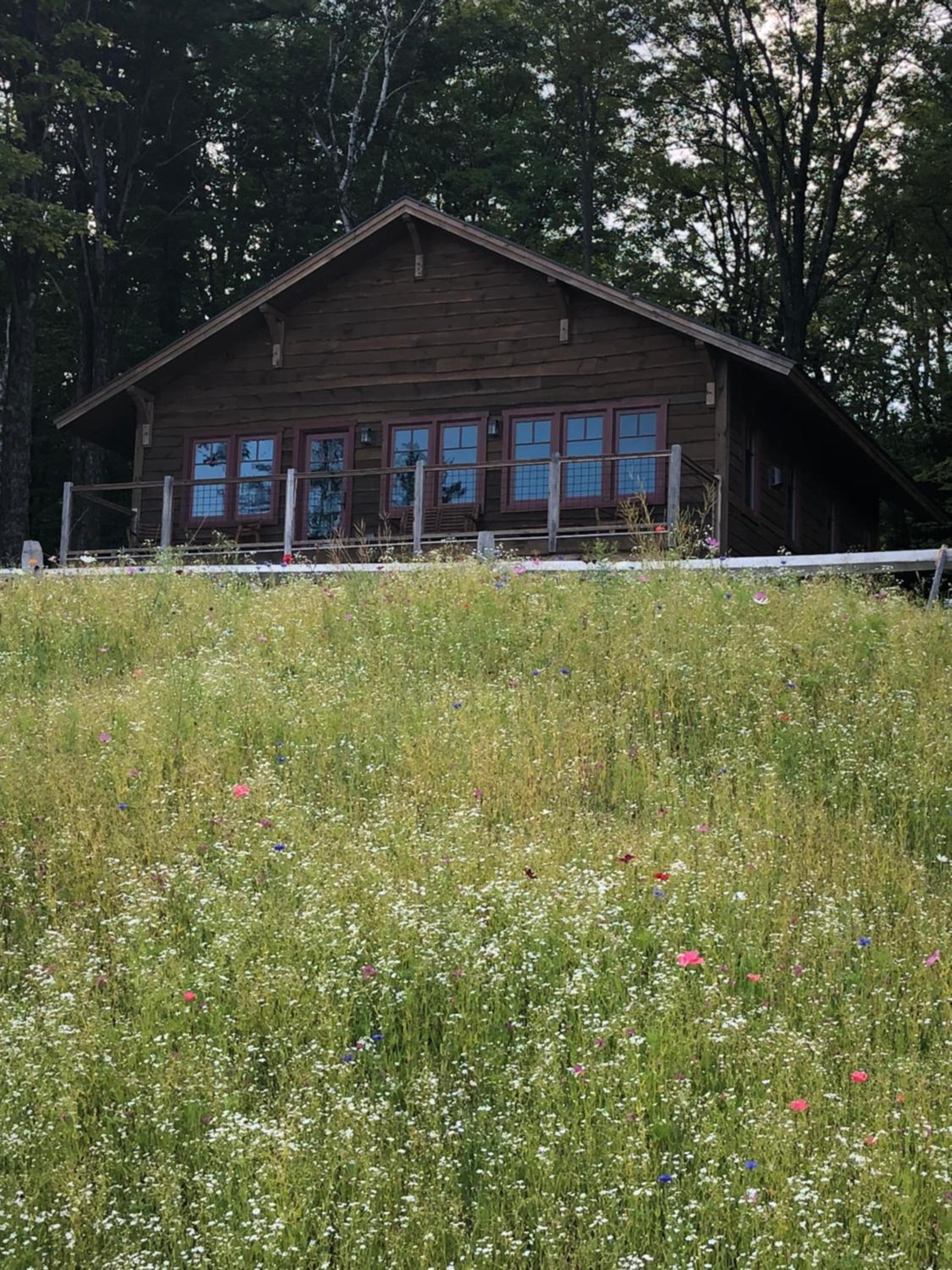Seesaw's Lodge view 2