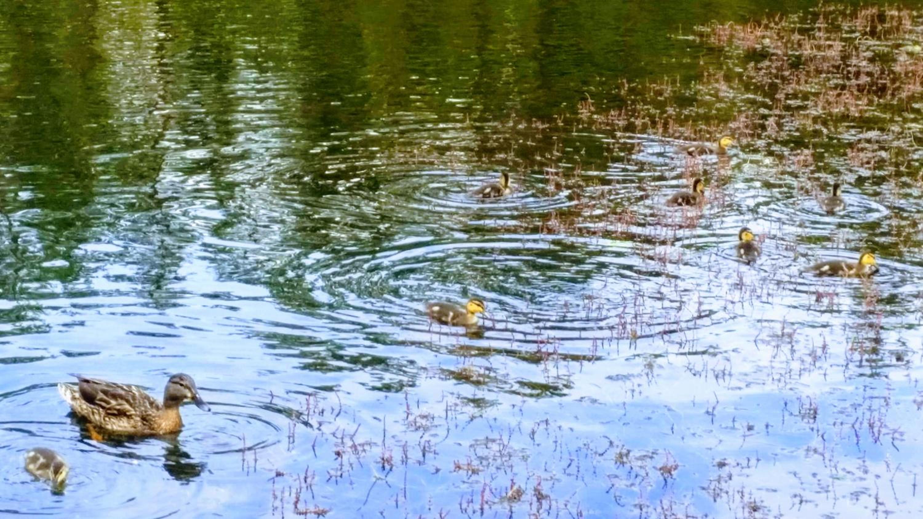 Photo 23