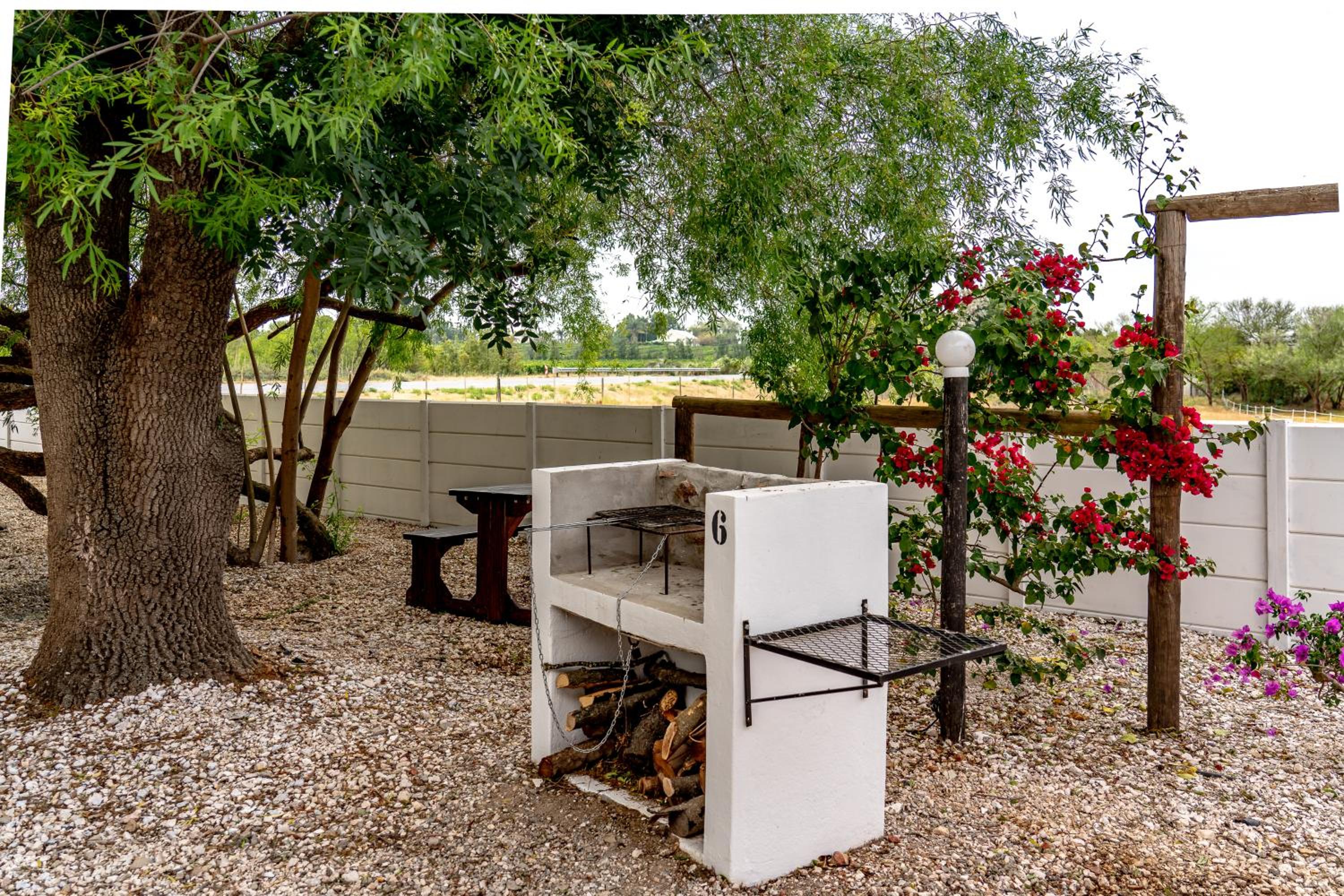 Green Olive Guesthouse
