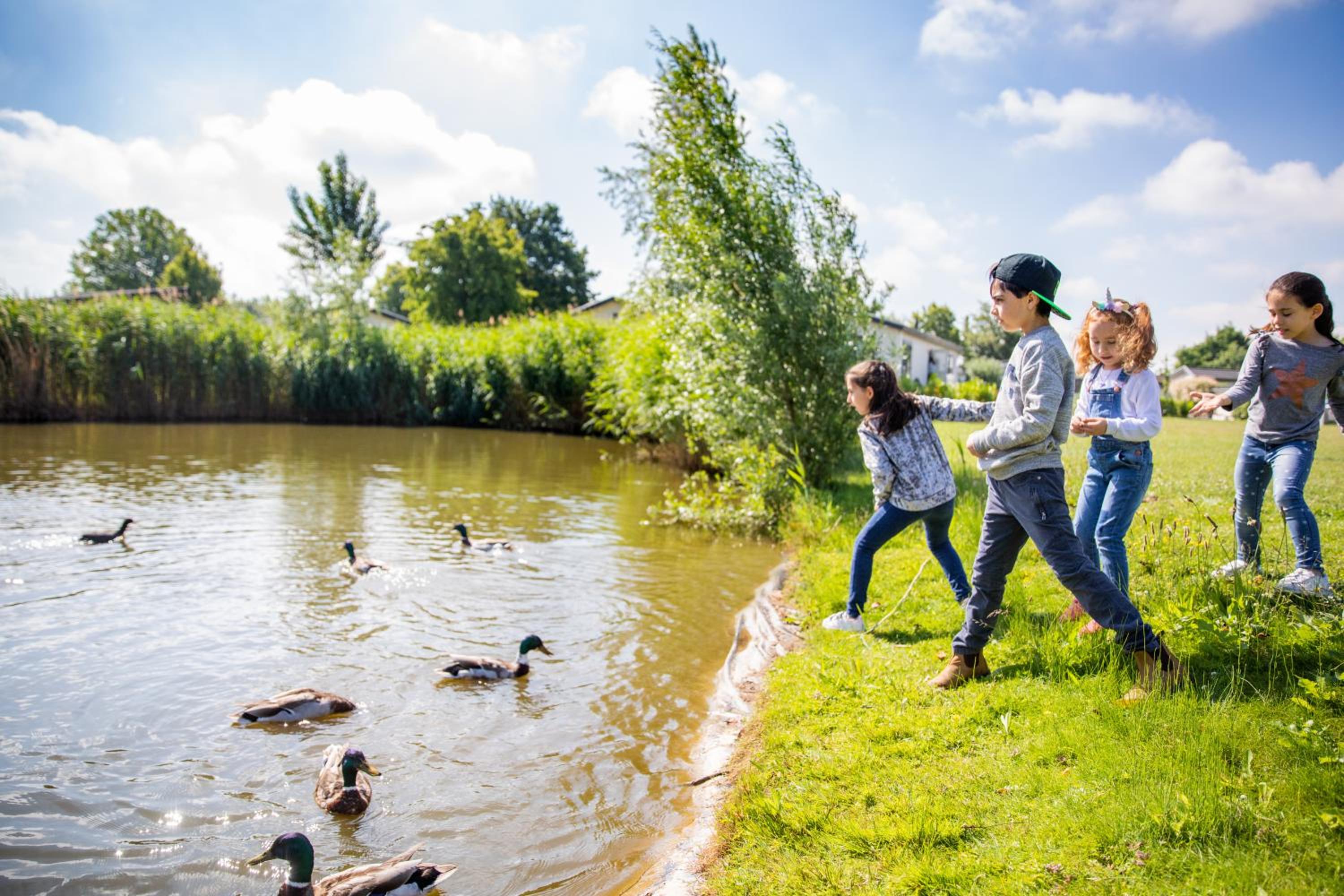 Recreatiepark het Esmeer