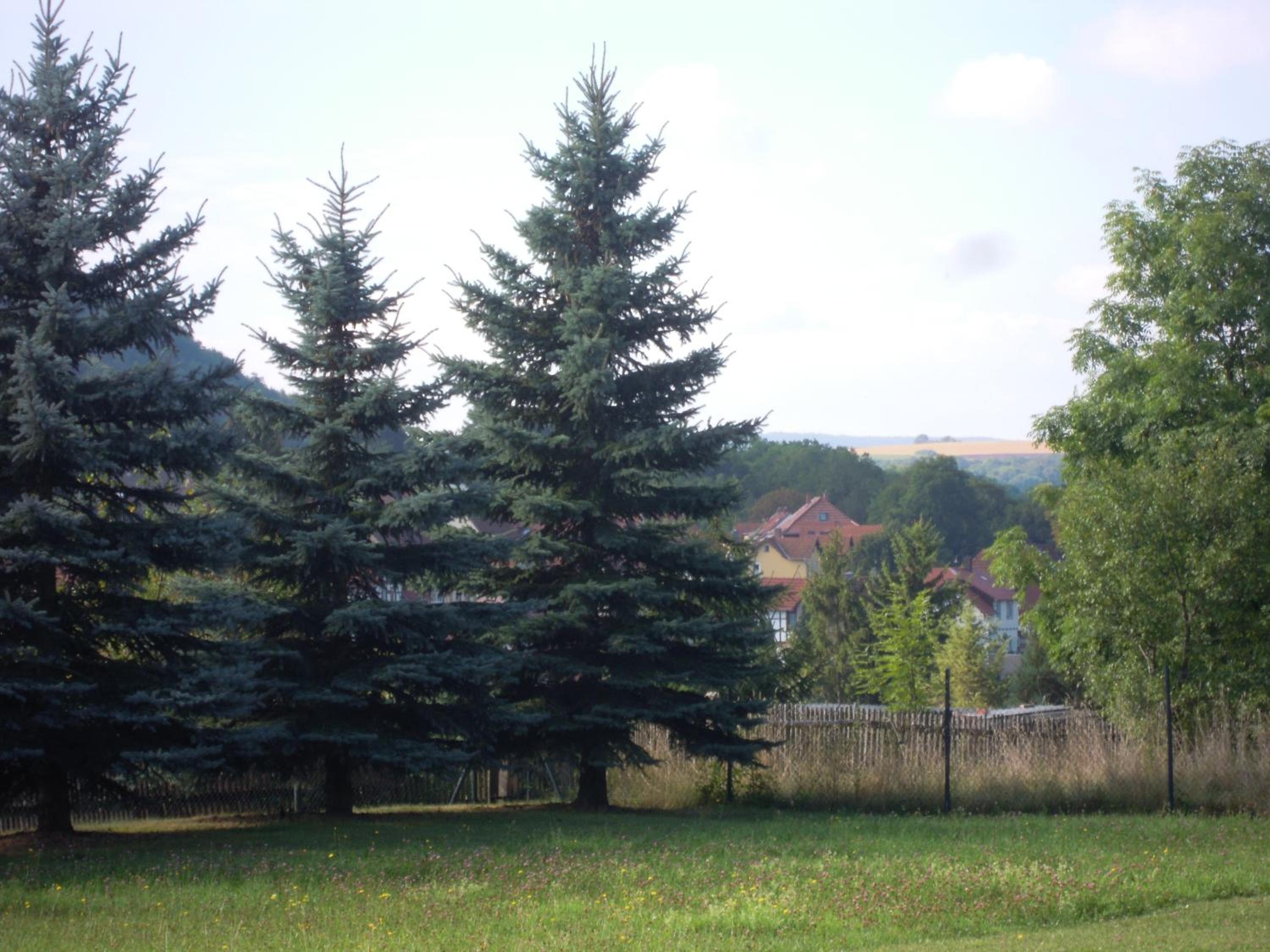 Ferienhaus Gebind view 3