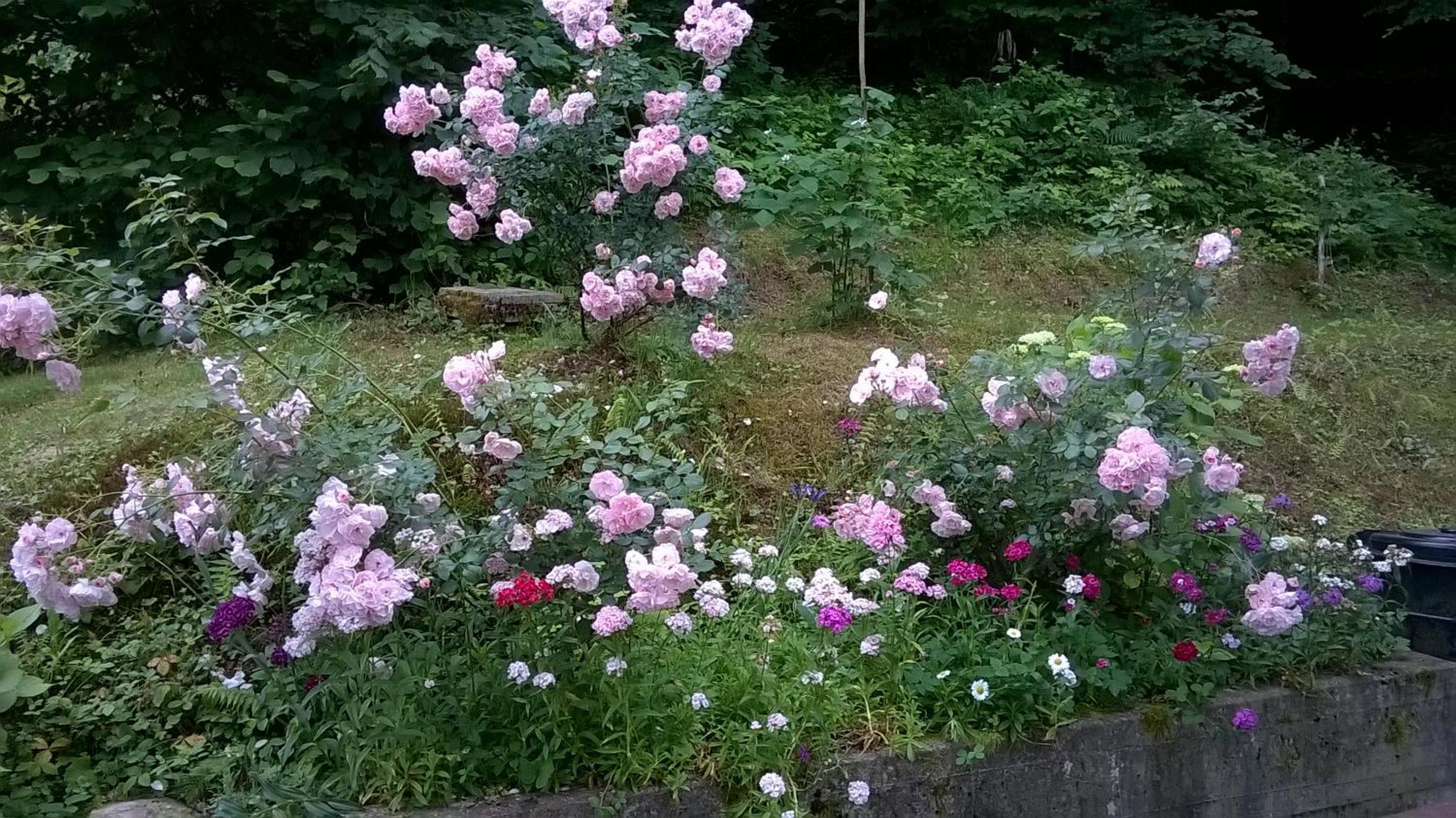Photo 47