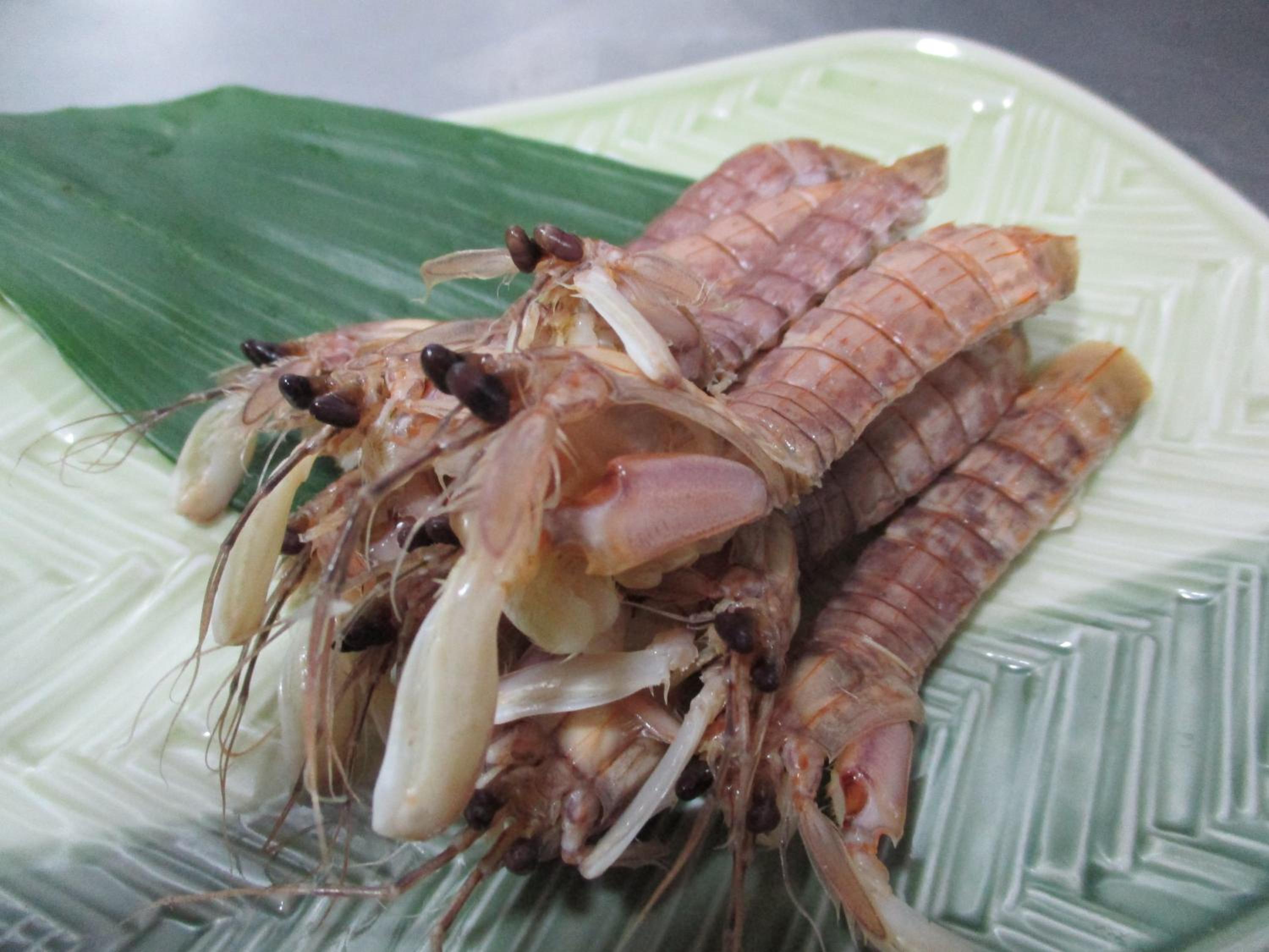 Minshuku Osaki
