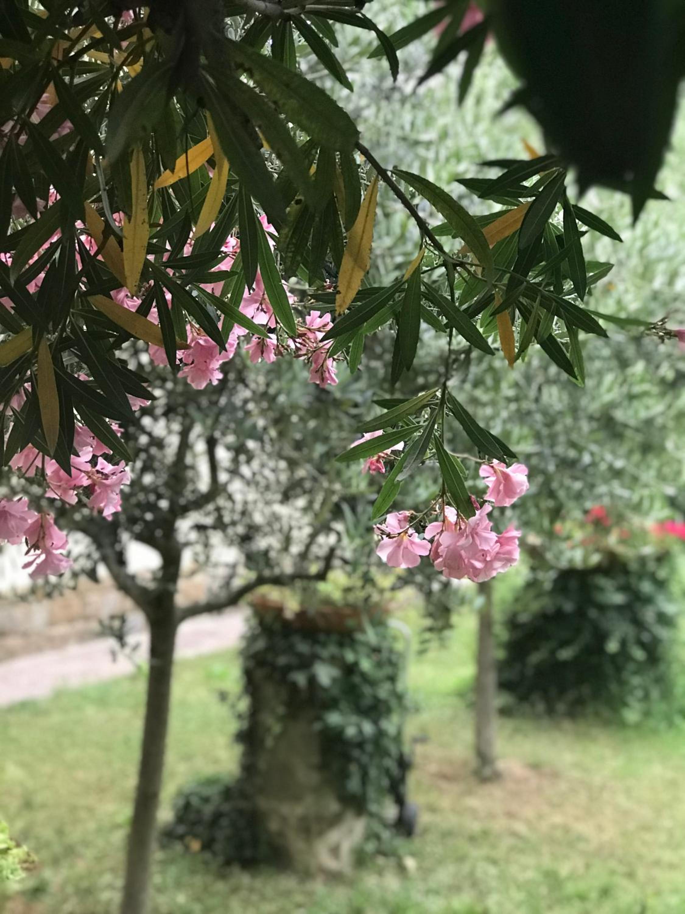La Casa di Claudia
