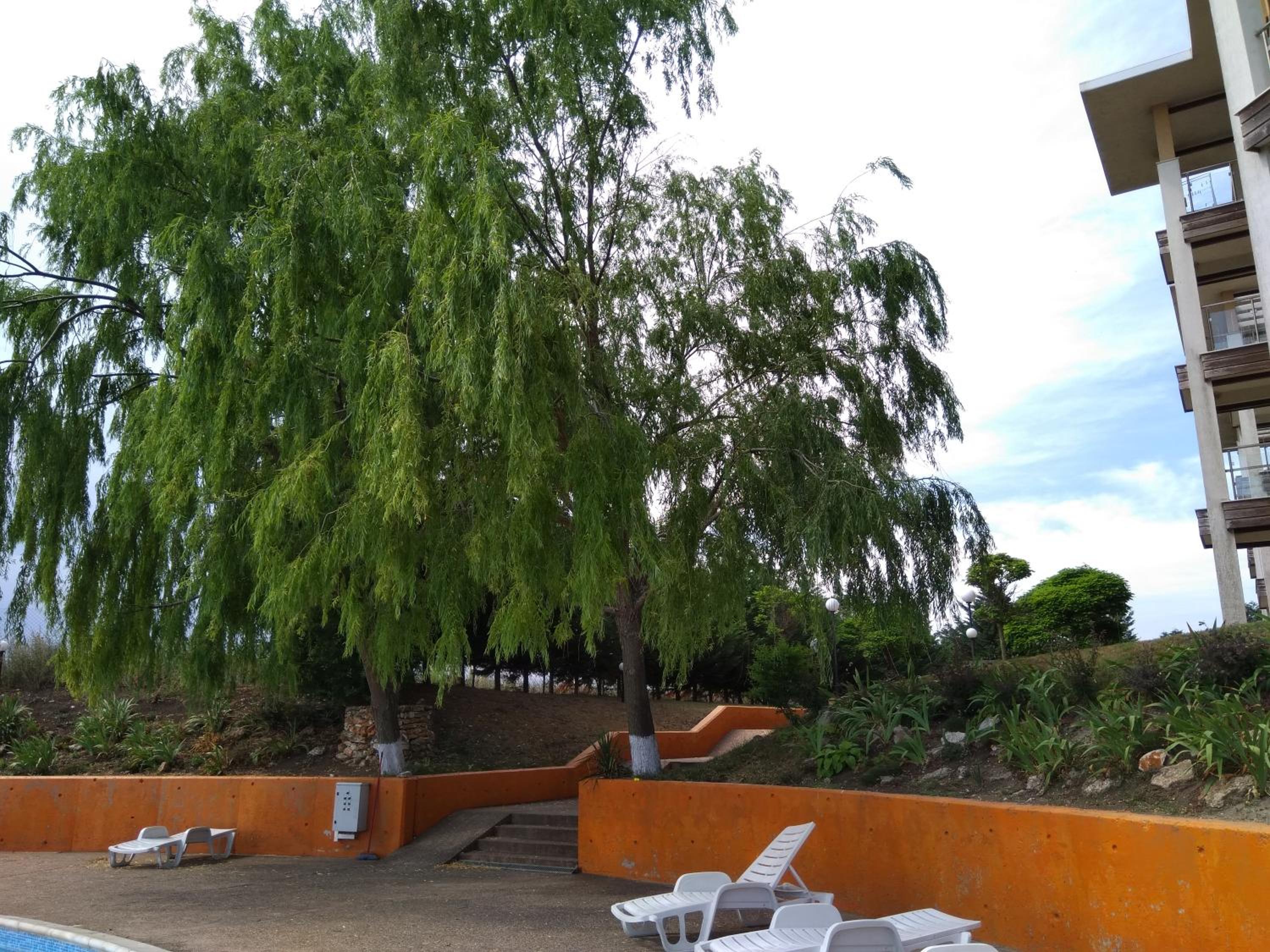 Private Apartment A12 in July Morning Seaside Resort view 5