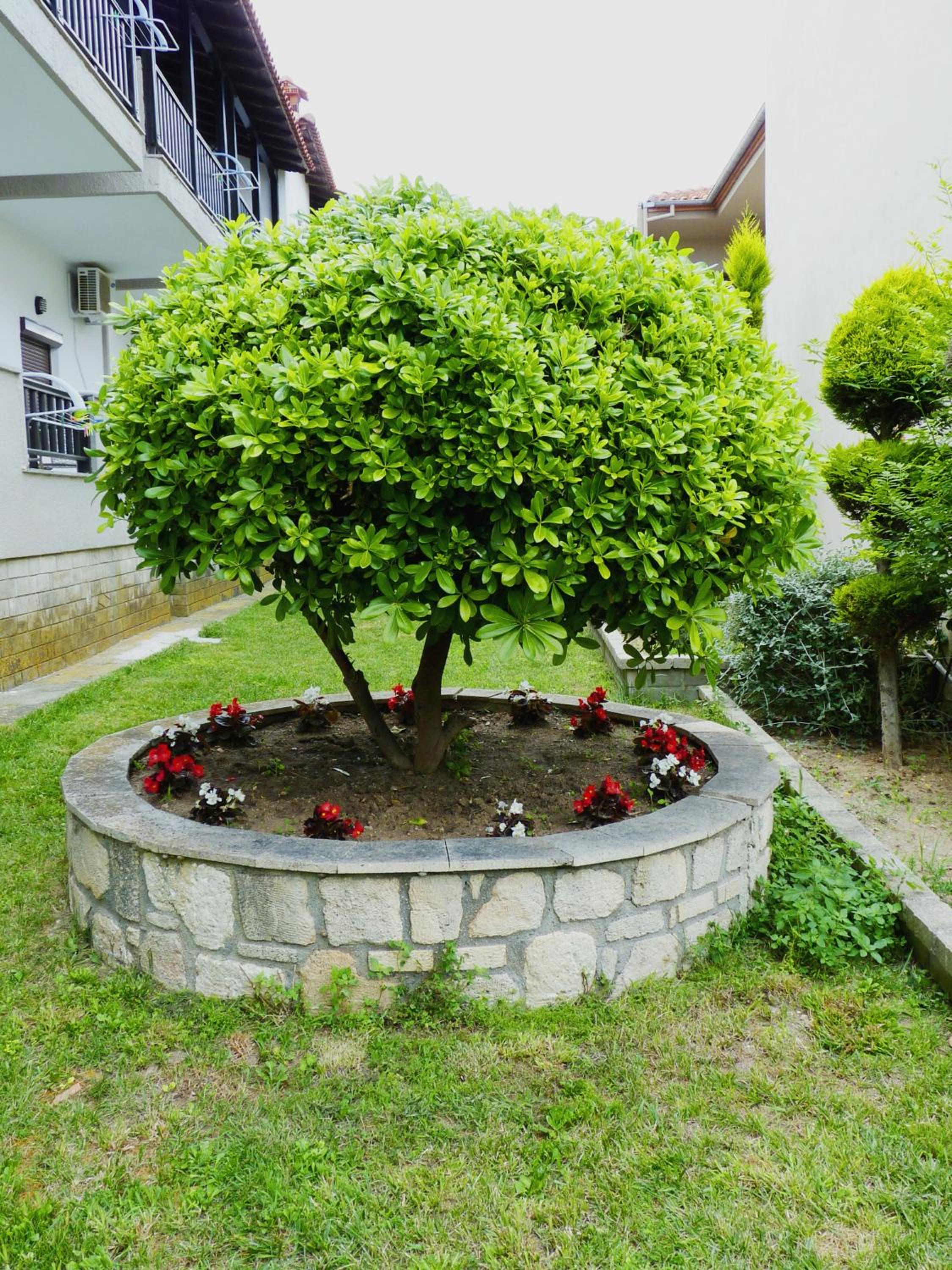 Yannis Apartments