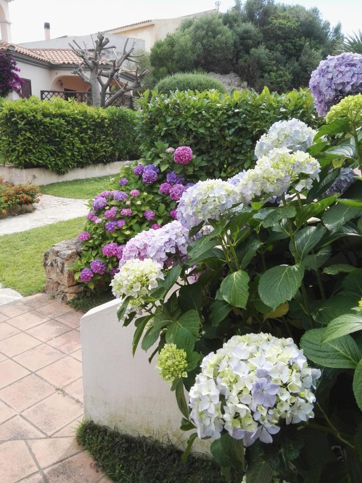 appartamento con vista piscina photo 4