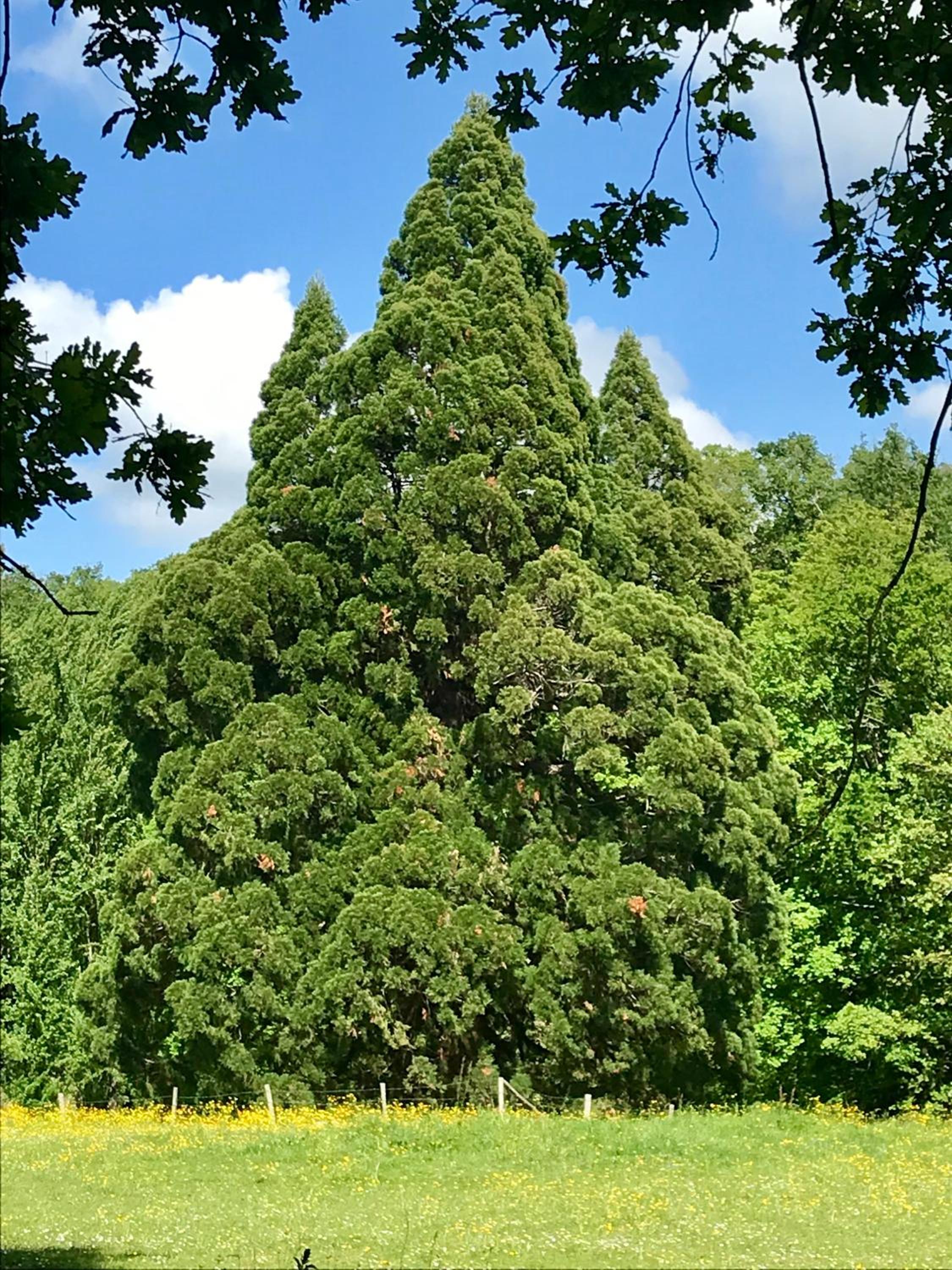 Domaine de Joreau