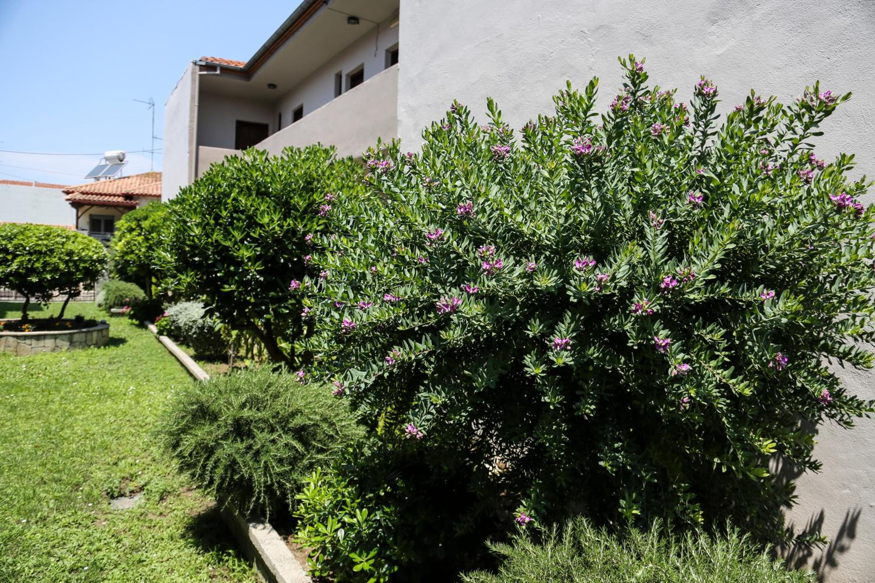 Yannis Apartments