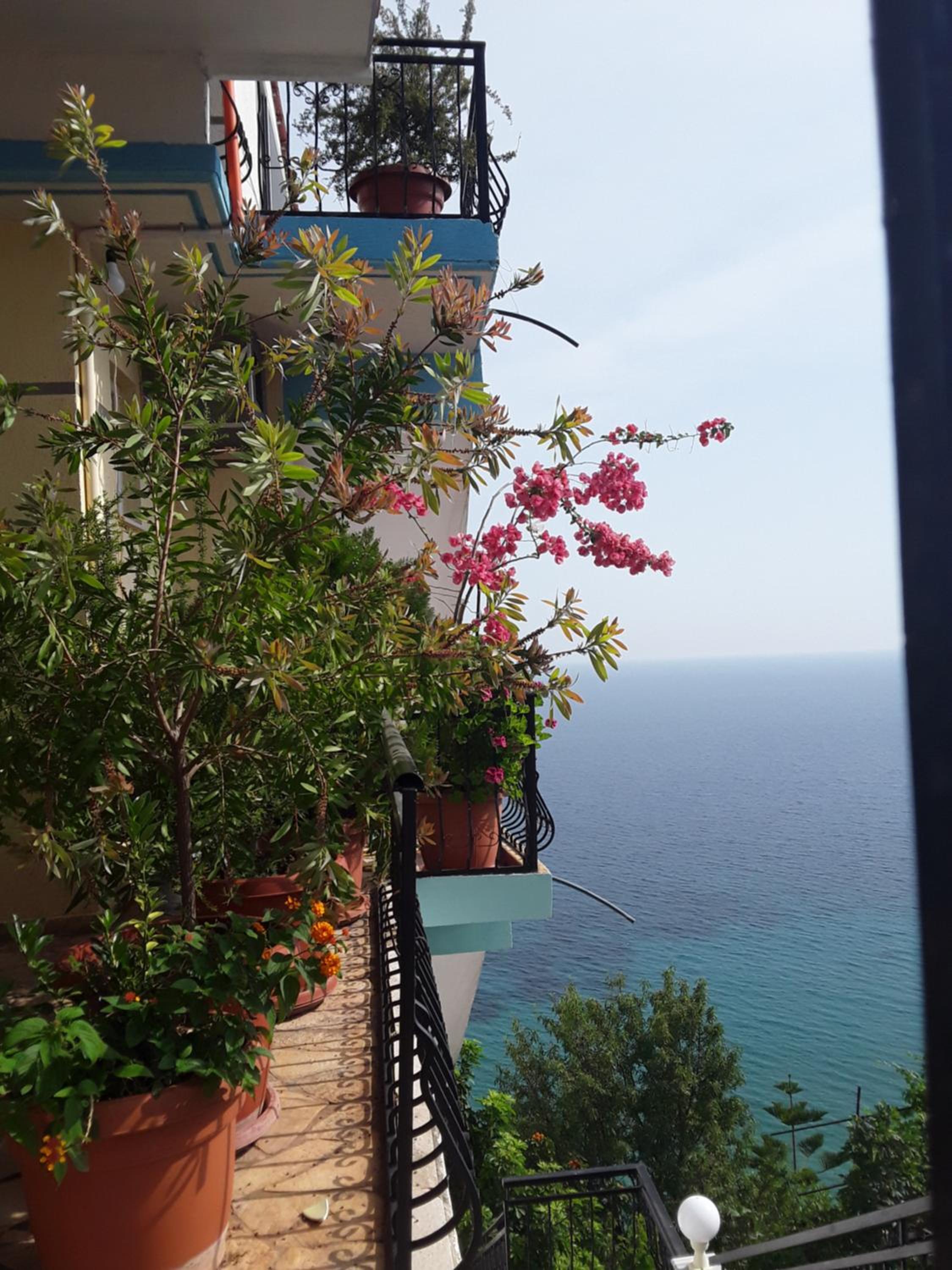 Odhisea Hotel Restaurant