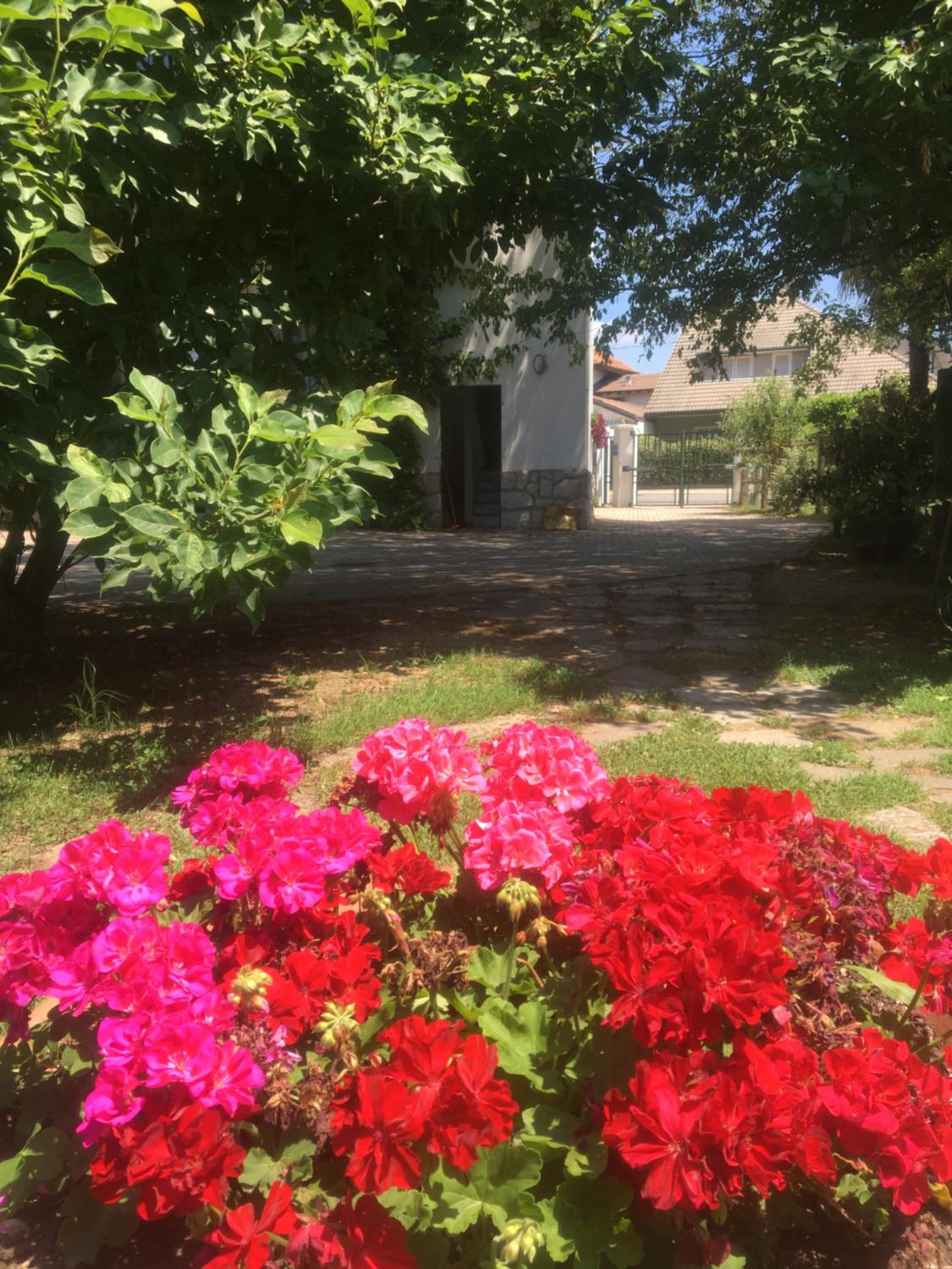 Photo 28