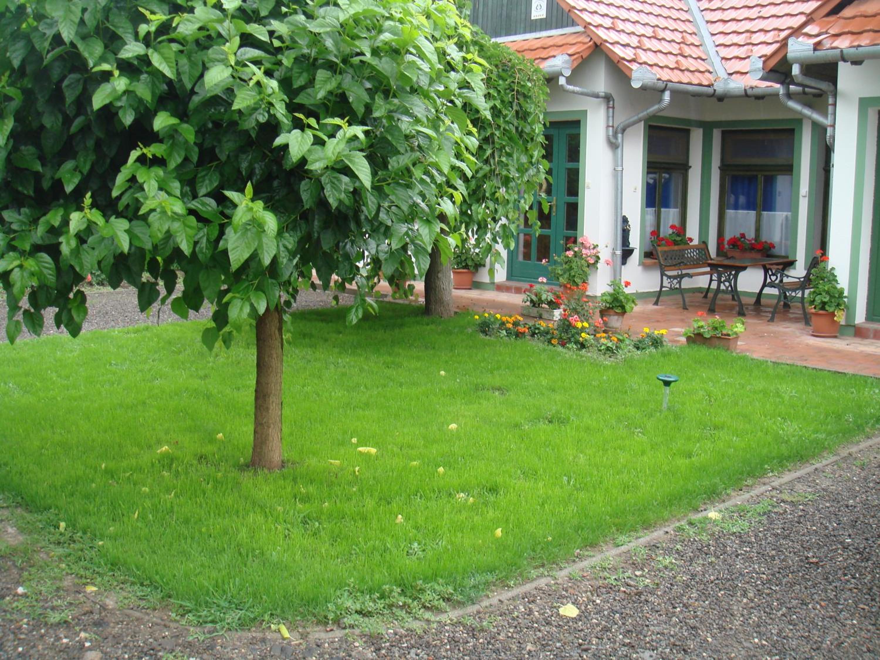 Frankó Tanya Vendégház view 4