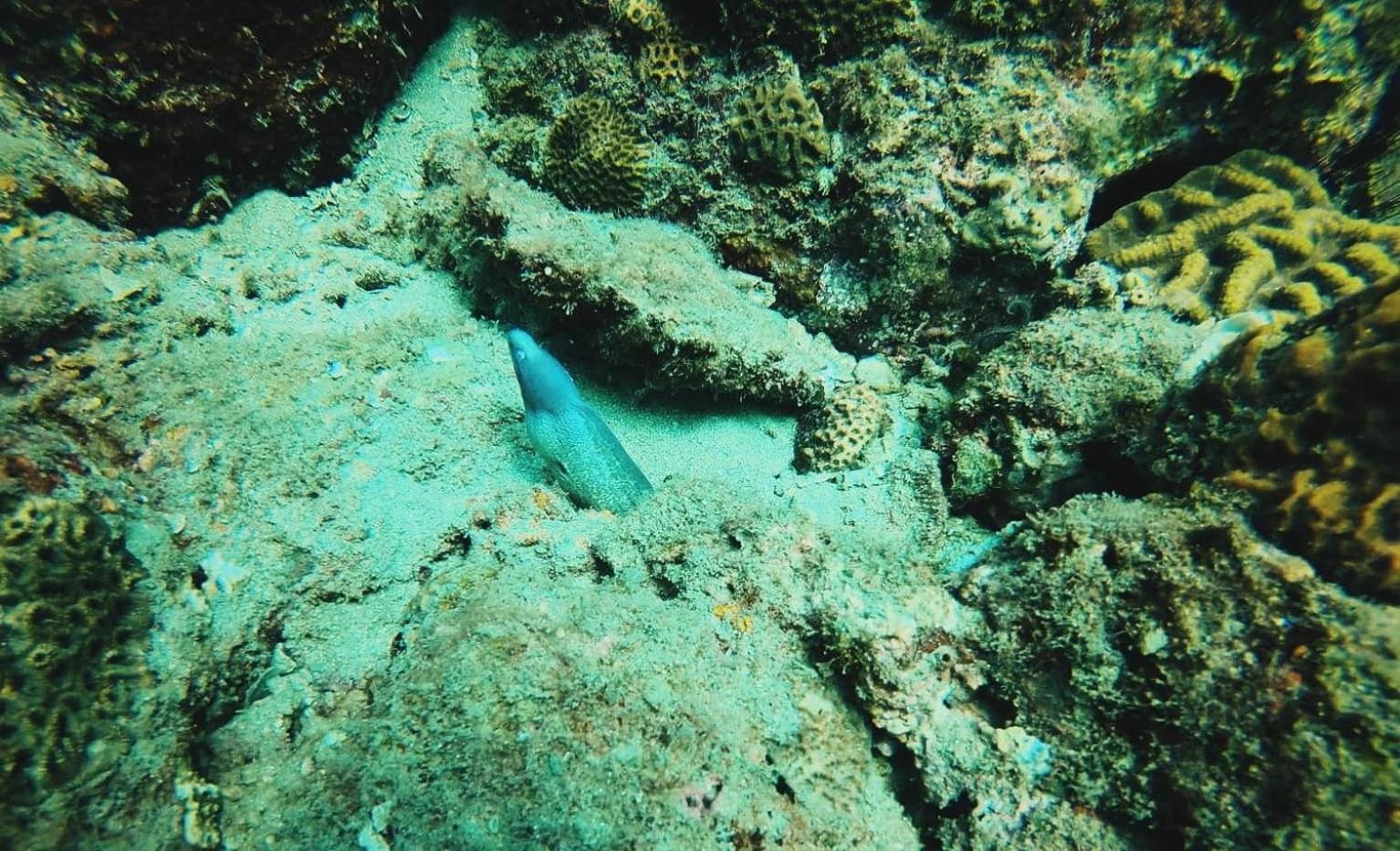 Photo 25