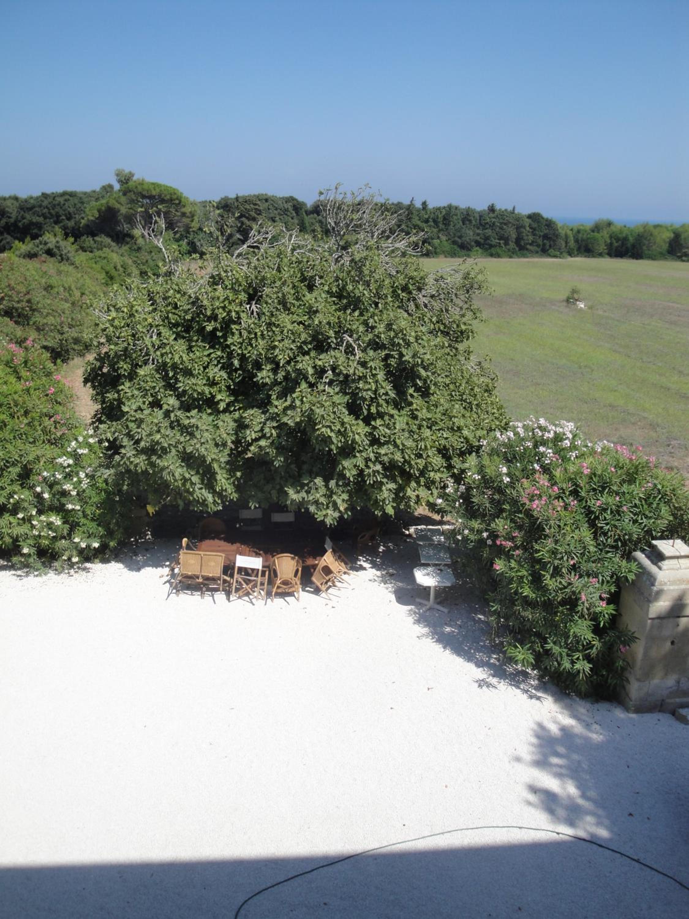 Masseria Specchiulla photo 5