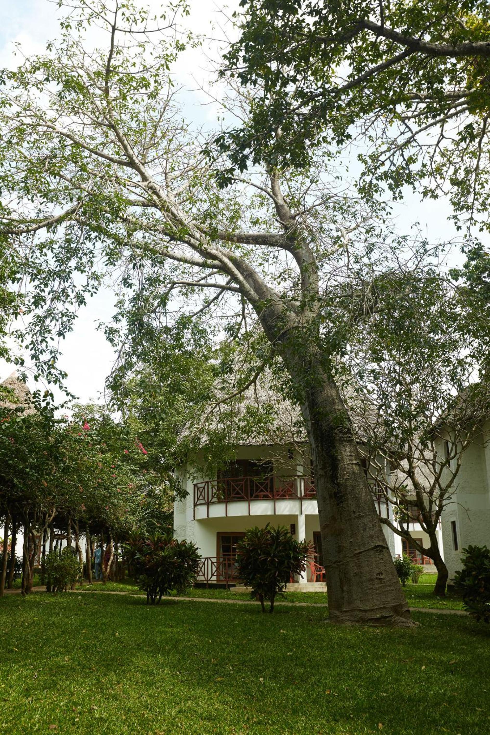 Photo 28