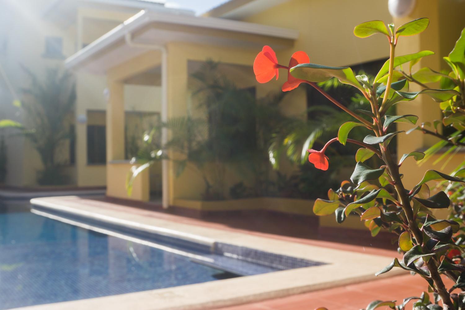 Tamarindo Garden Boutique Homes
