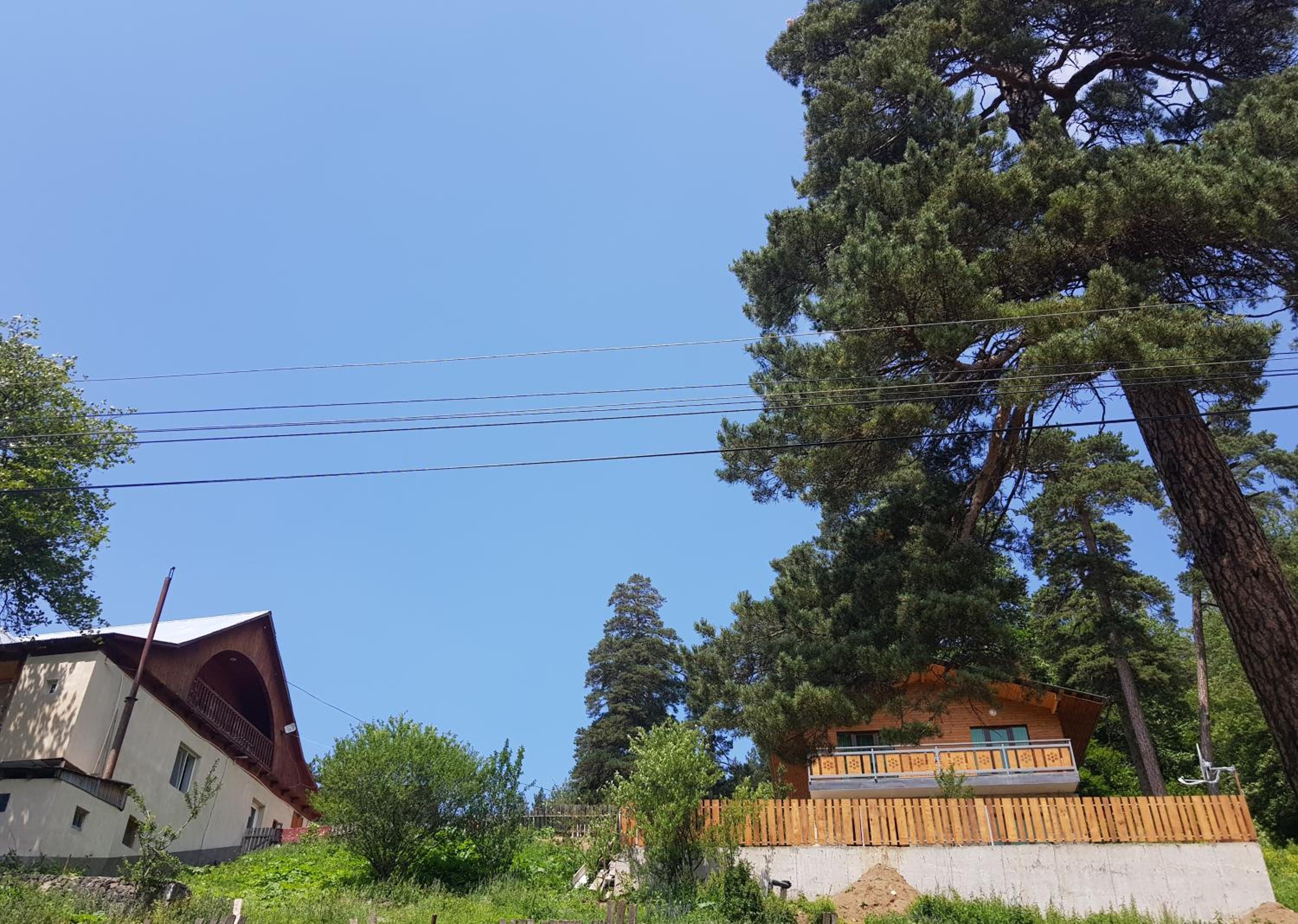 Photo 43